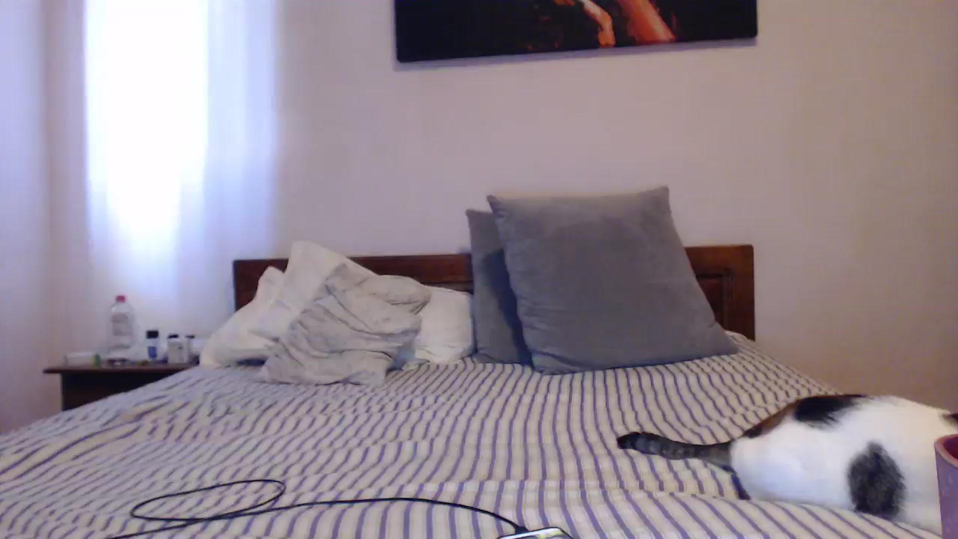 Gallery image thumbnail from Aahh_Emilia's myfreecams stream on, 08/03/2023, 15:07 image 12 of 20