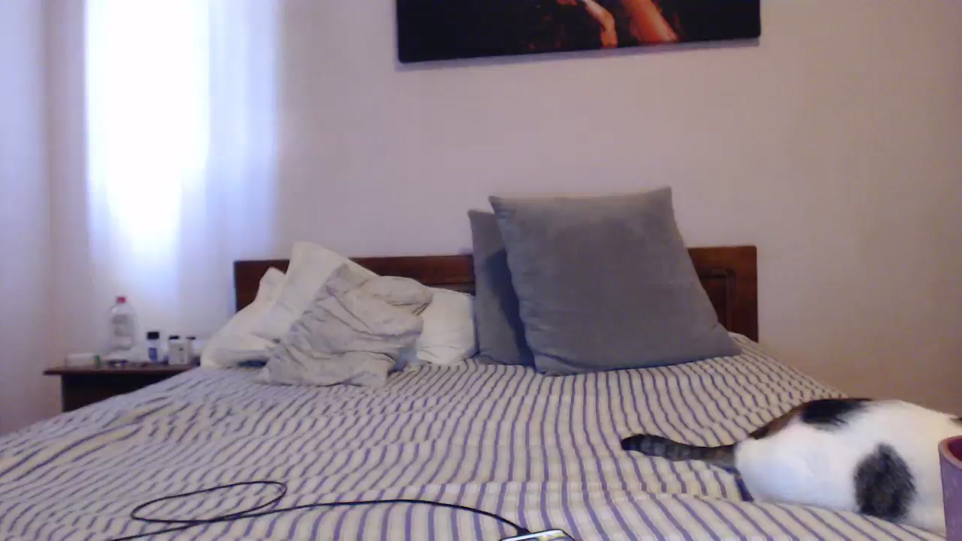 Gallery image thumbnail from Aahh_Emilia's myfreecams stream on, 08/03/2023, 15:07 image 13 of 20