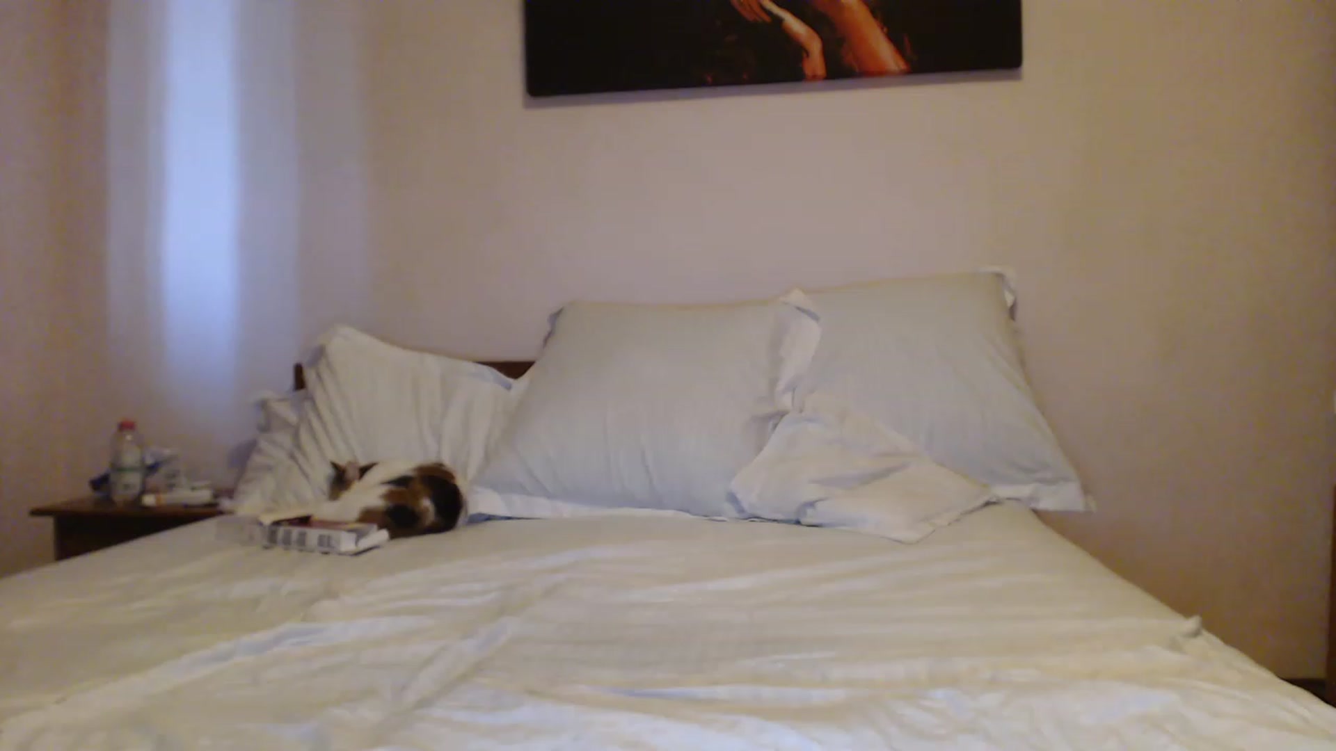 Gallery image thumbnail from Aahh_Emilia's myfreecams stream on, 08/09/2023, 17:12 image 13 of 20