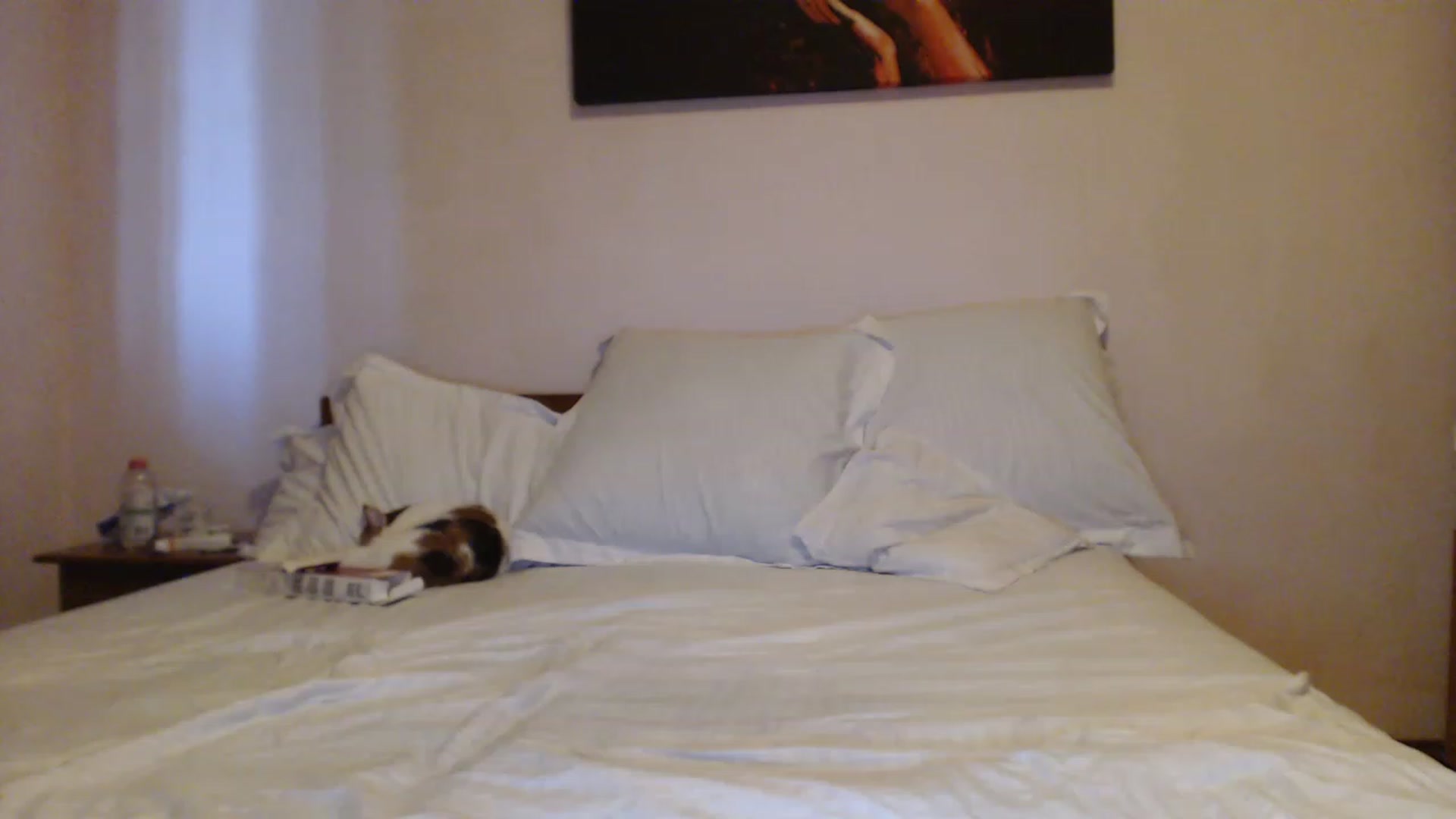 Gallery image thumbnail from Aahh_Emilia's myfreecams stream on, 08/09/2023, 17:12 image 17 of 20