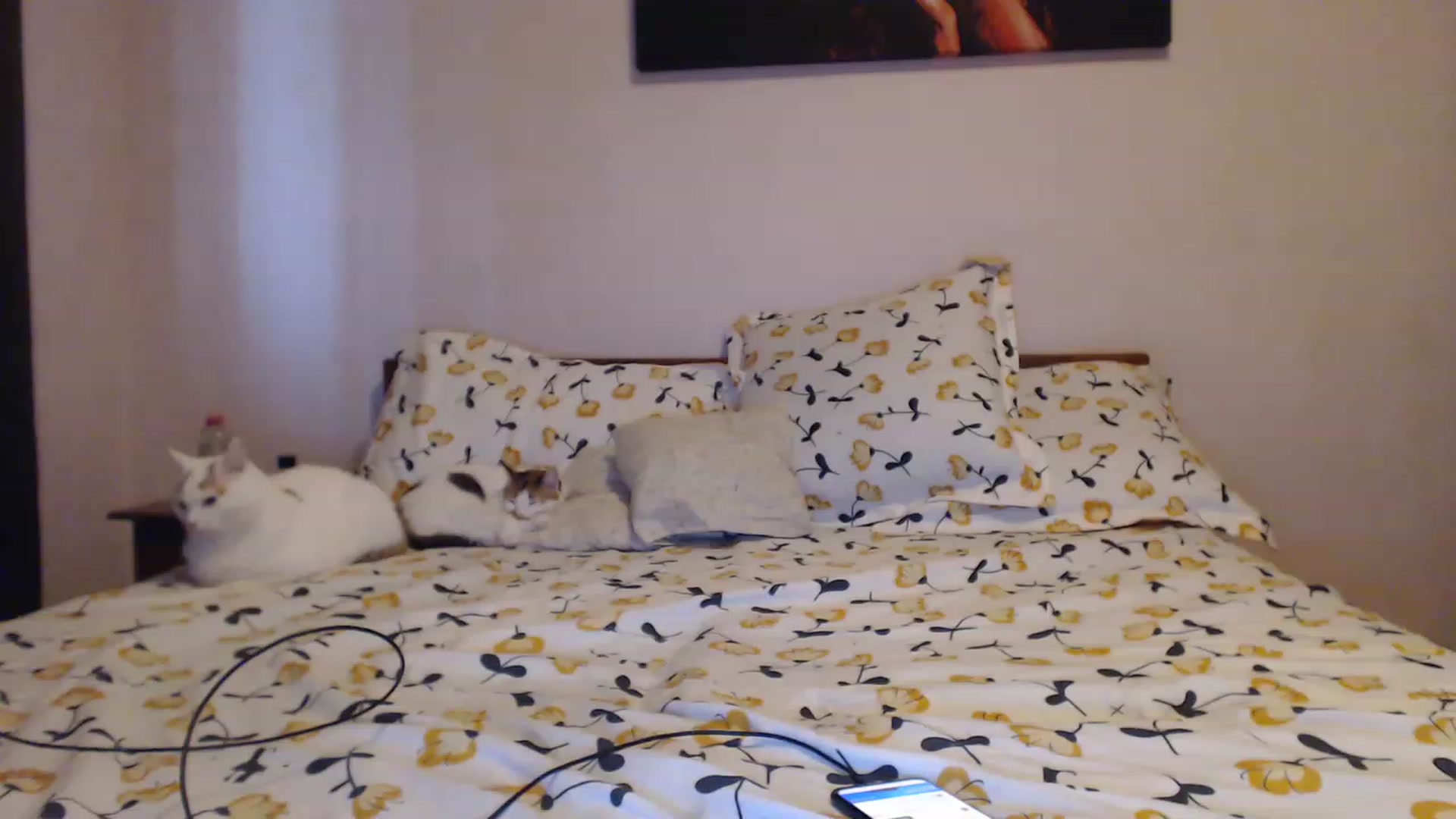Gallery image thumbnail from Aahh_Emilia's myfreecams stream on, 08/14/2023, 17:37 image 10 of 20