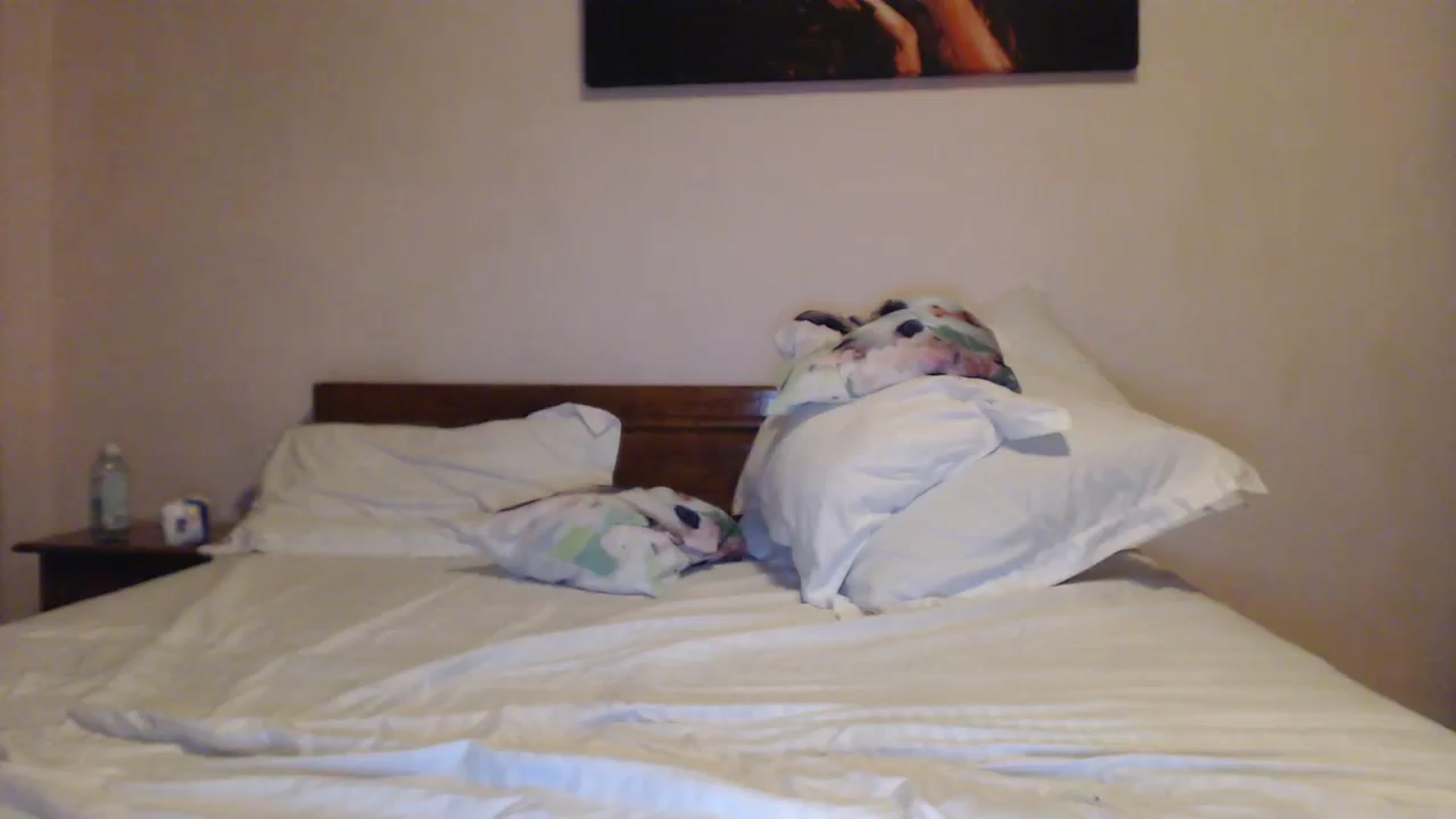 Gallery image thumbnail from Aahh_Emilia's myfreecams stream on, 08/26/2023, 17:49 image 5 of 20
