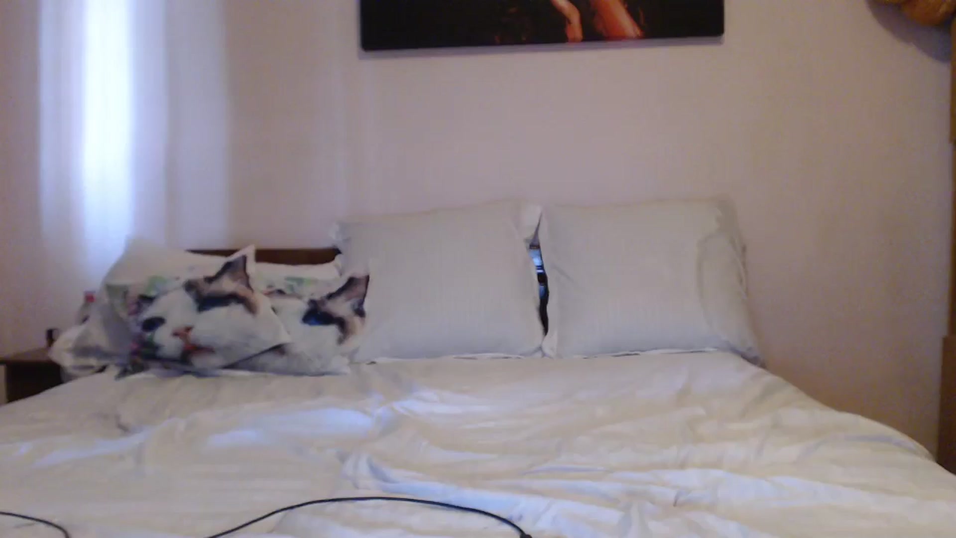 Gallery image thumbnail from Aahh_Emilia's myfreecams stream on, 08/31/2023, 15:38 image 8 of 20