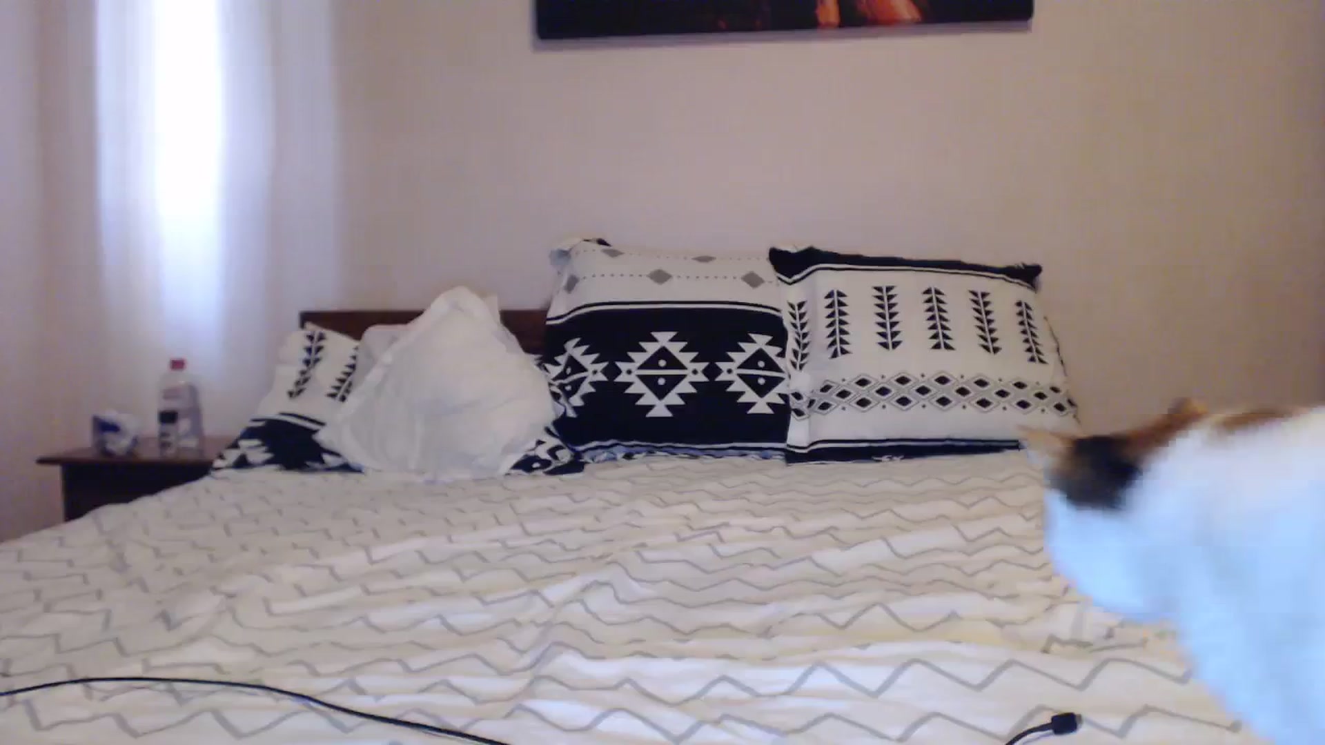 Gallery image thumbnail from Aahh_Emilia's myfreecams stream on, 09/09/2023, 15:22 image 11 of 20