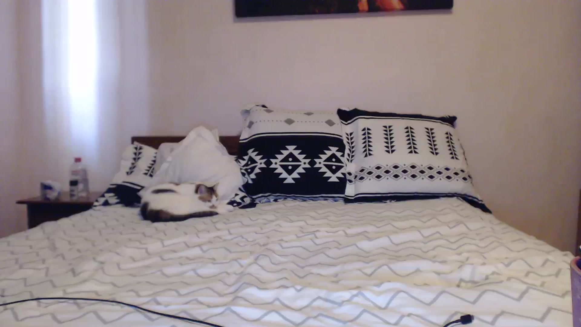 Gallery image thumbnail from Aahh_Emilia's myfreecams stream on, 09/09/2023, 15:22 image 14 of 20