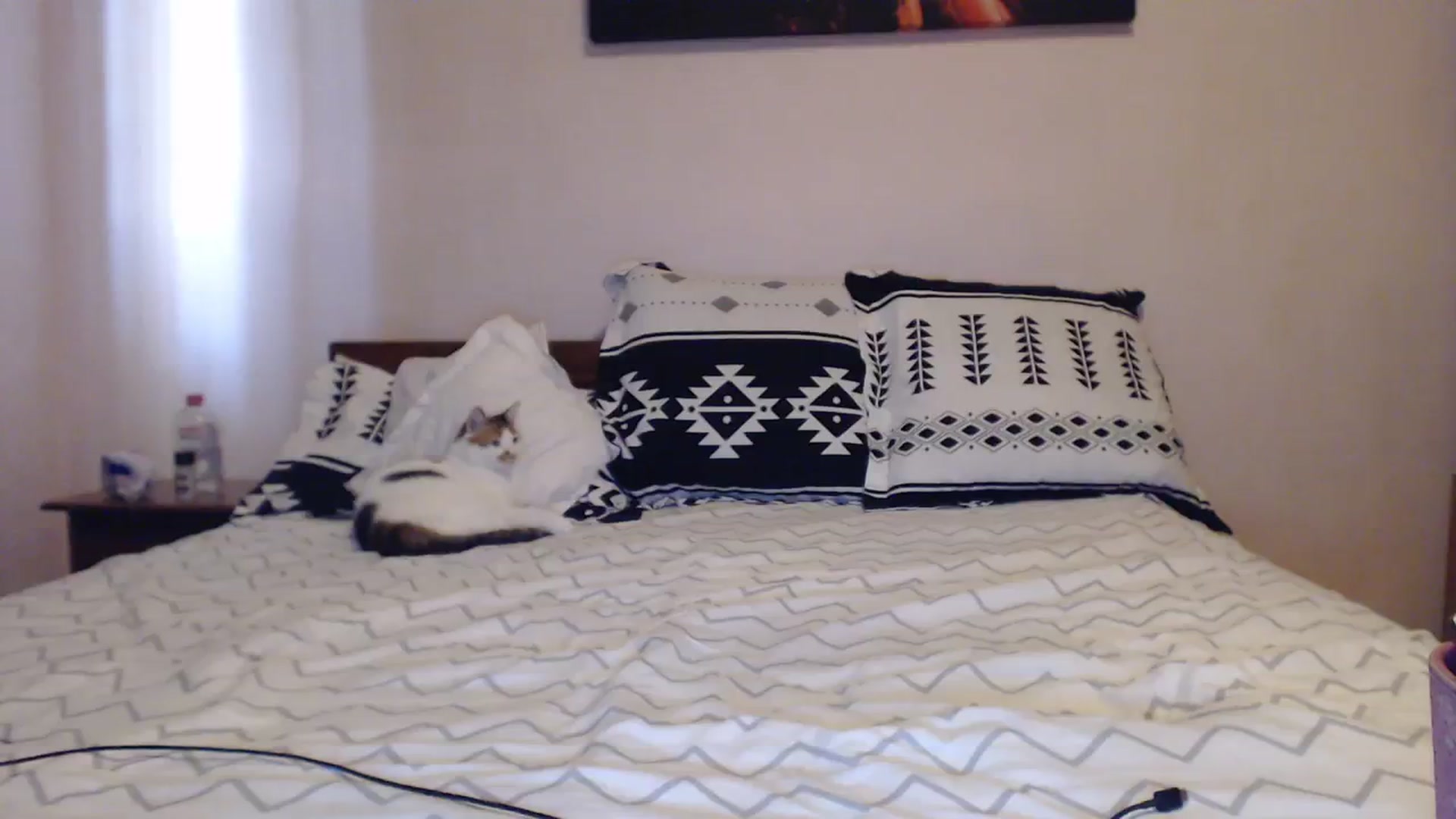 Gallery image thumbnail from Aahh_Emilia's myfreecams stream on, 09/09/2023, 15:22 image 13 of 20