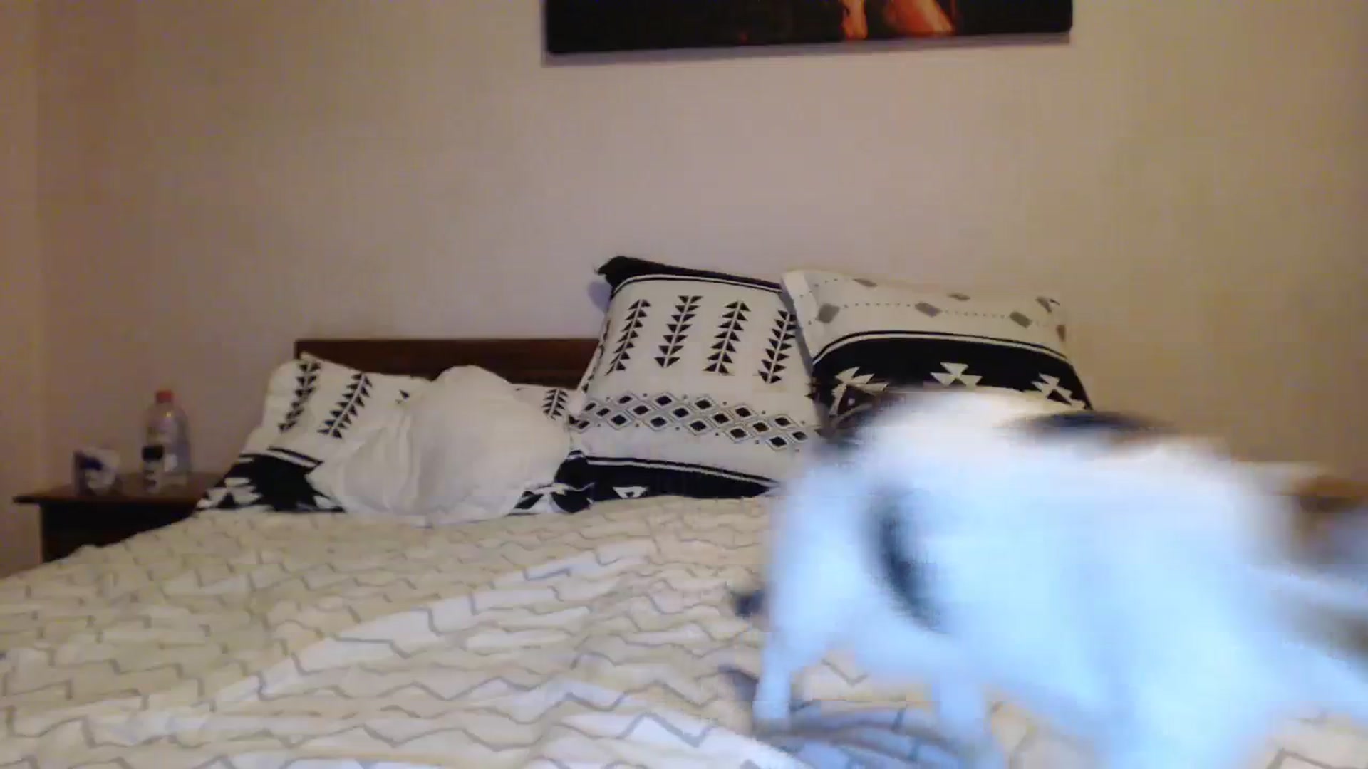 Gallery image thumbnail from Aahh_Emilia's myfreecams stream on, 09/09/2023, 17:34 image 4 of 20