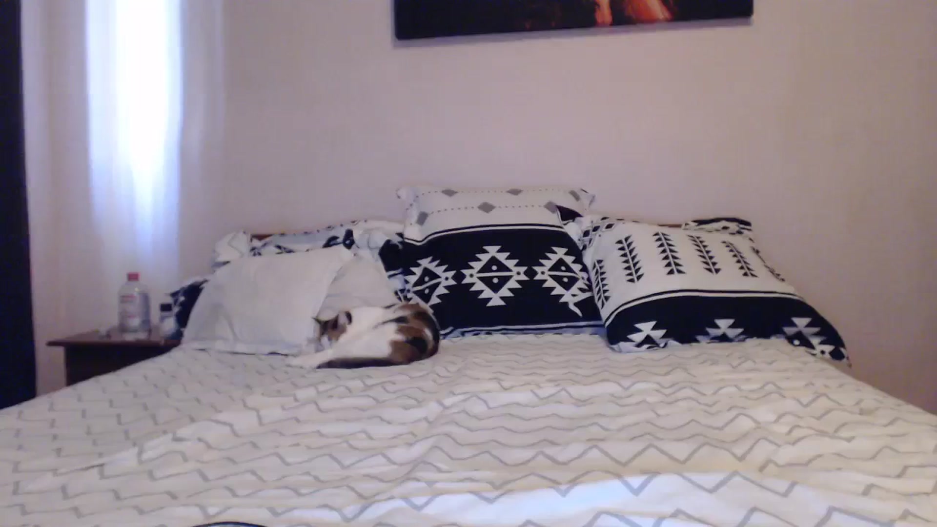 Gallery image thumbnail from Aahh_Emilia's myfreecams stream on, 09/12/2023, 14:50 image 16 of 20