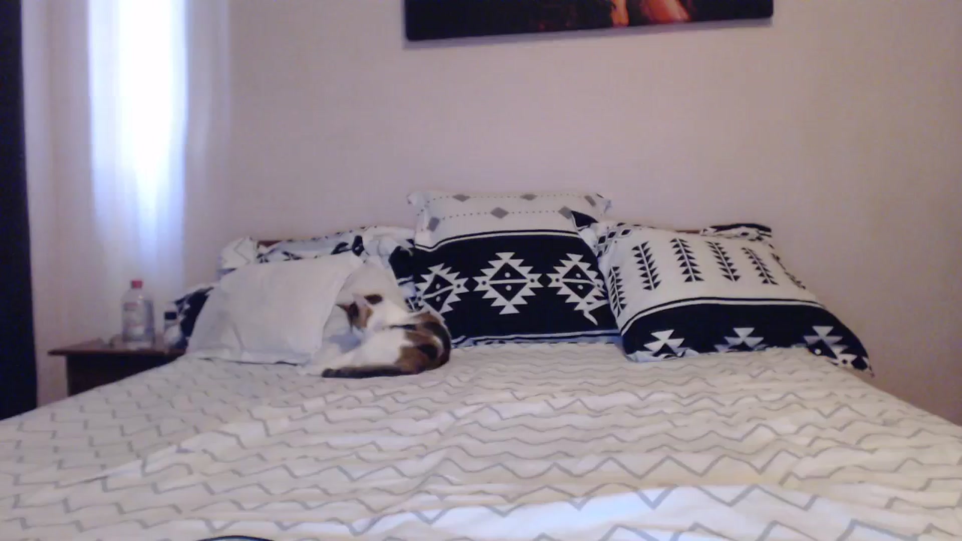 Gallery image thumbnail from Aahh_Emilia's myfreecams stream on, 09/12/2023, 14:50 image 15 of 20