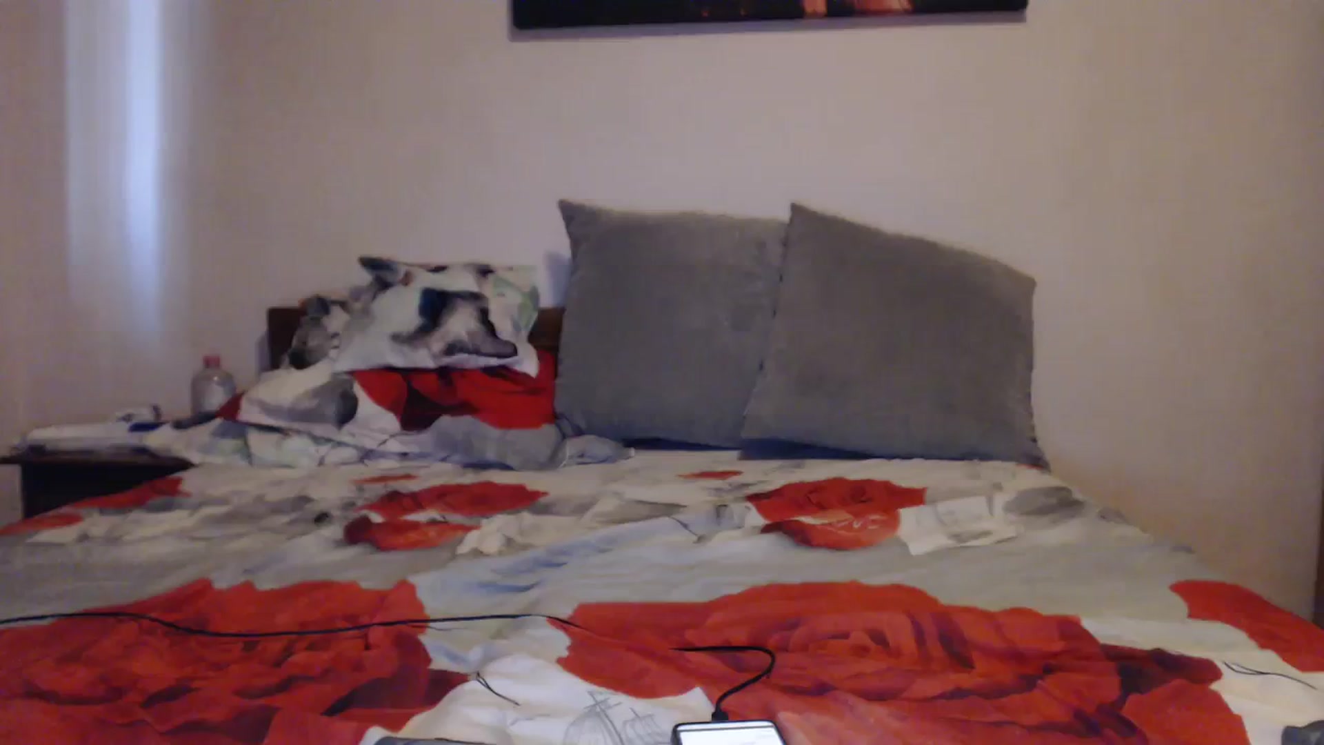 Gallery image thumbnail from Aahh_Emilia's myfreecams stream on, 09/18/2023, 16:07 image 9 of 20