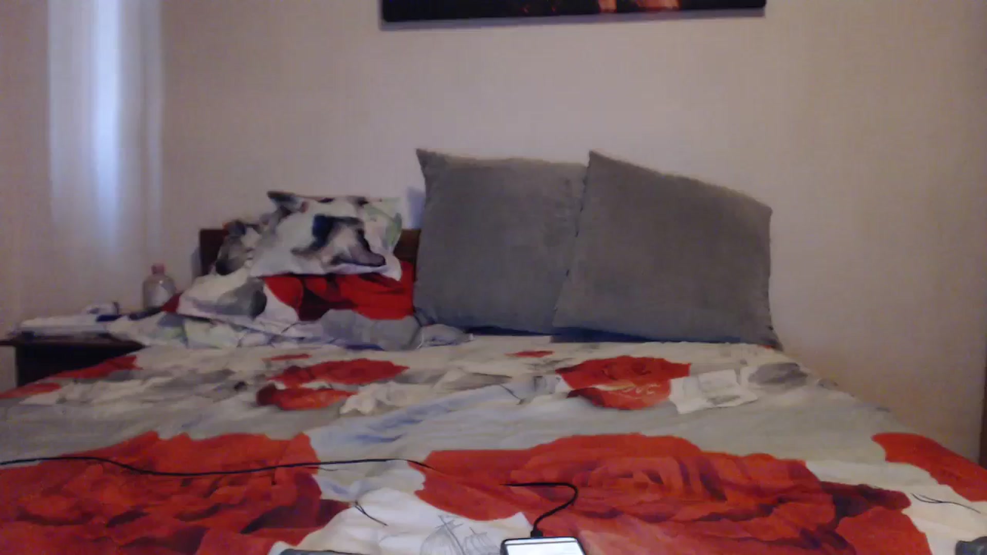 Gallery image thumbnail from Aahh_Emilia's myfreecams stream on, 09/18/2023, 16:07 image 6 of 20