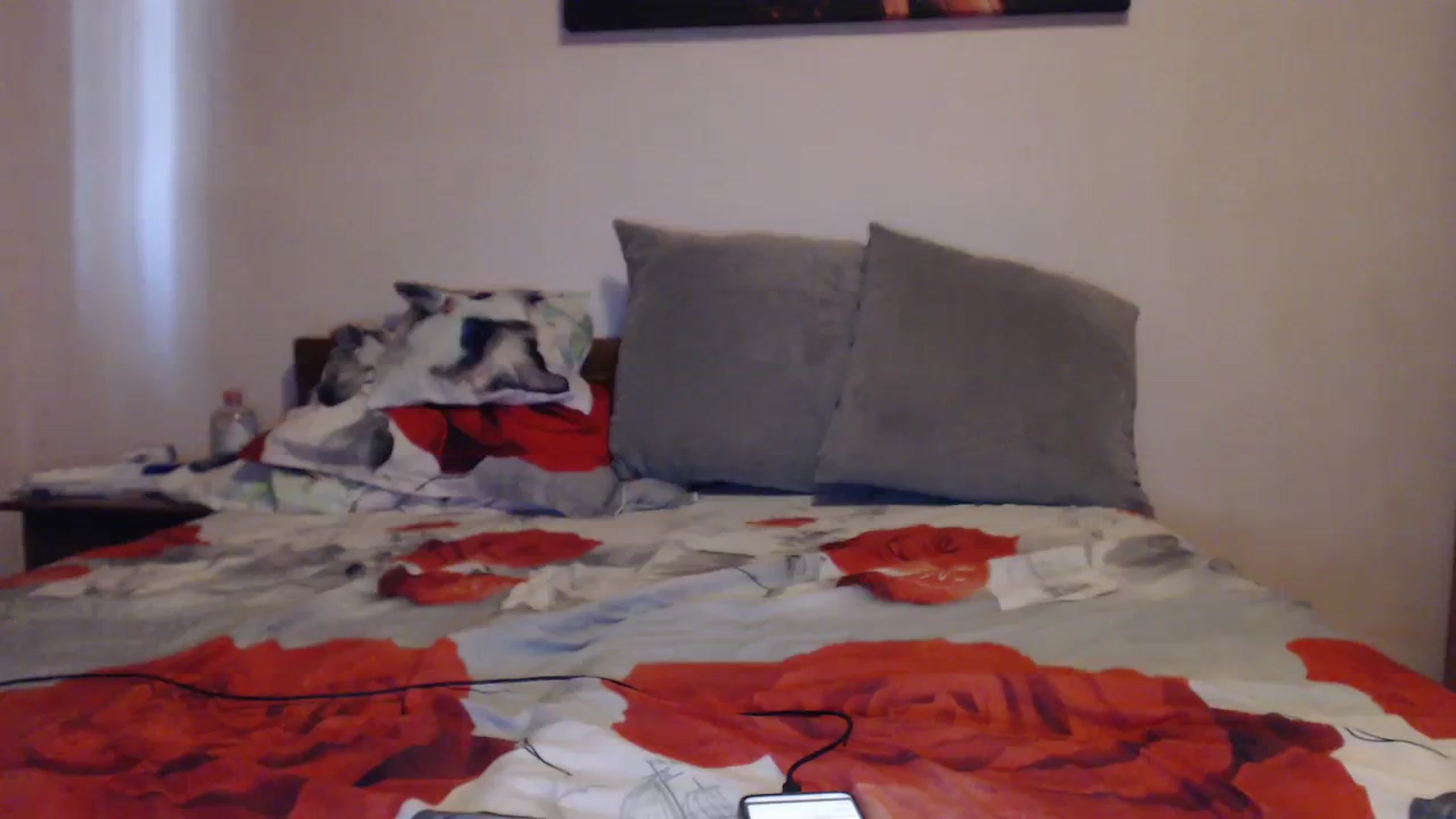 Gallery image thumbnail from Aahh_Emilia's myfreecams stream on, 09/18/2023, 16:07 image 8 of 20