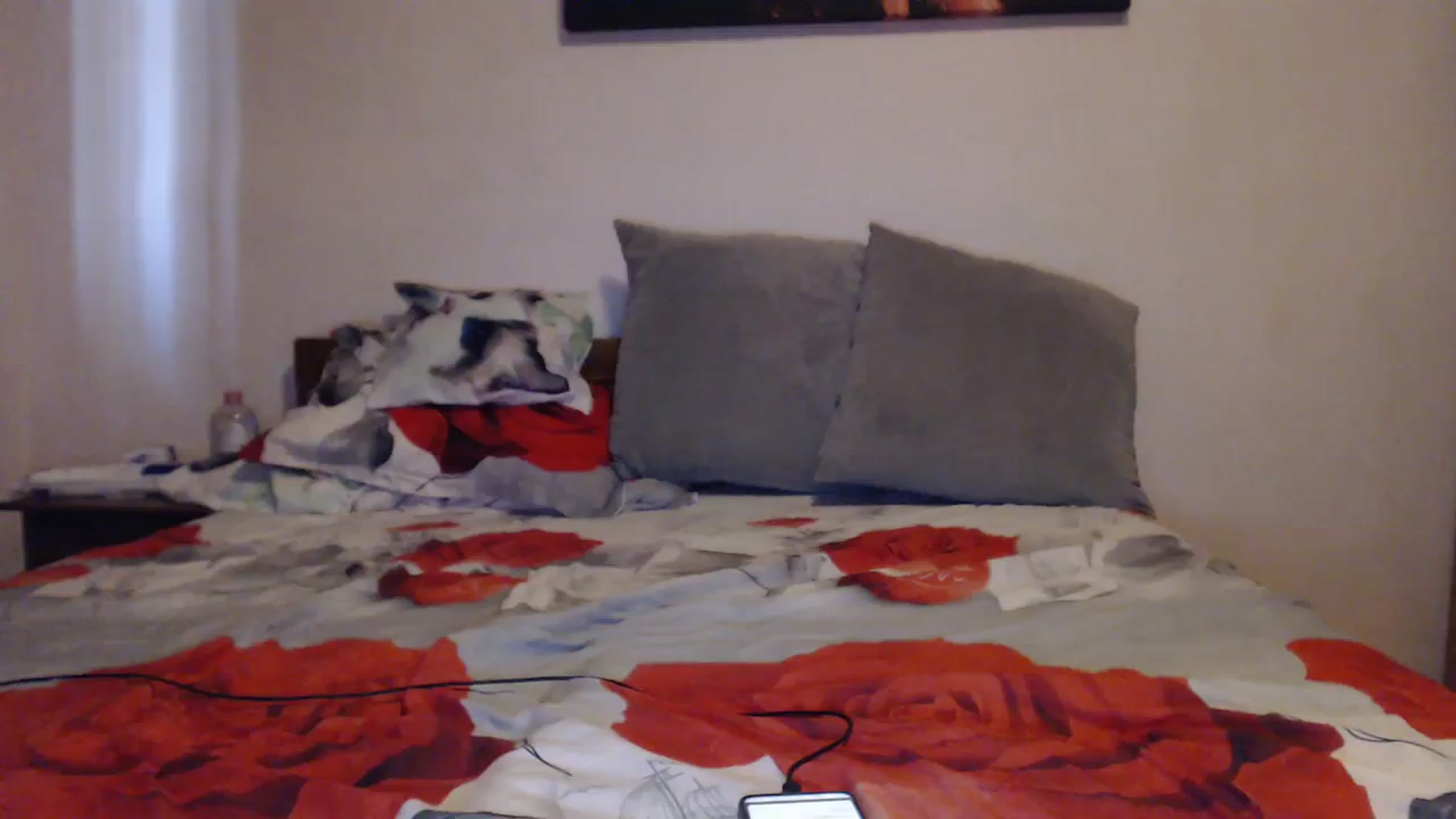 Gallery image thumbnail from Aahh_Emilia's myfreecams stream on, 09/18/2023, 16:07 image 7 of 20