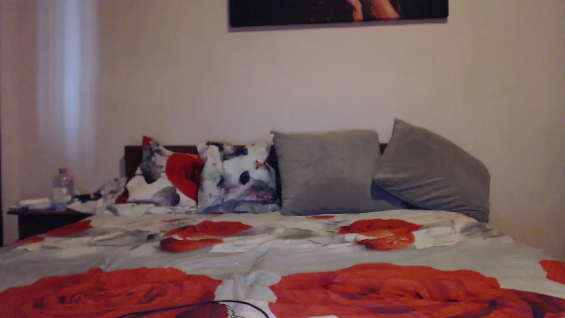 Gallery image thumbnail from Aahh_Emilia's myfreecams stream on, 09/19/2023, 15:40 image 20 of 20