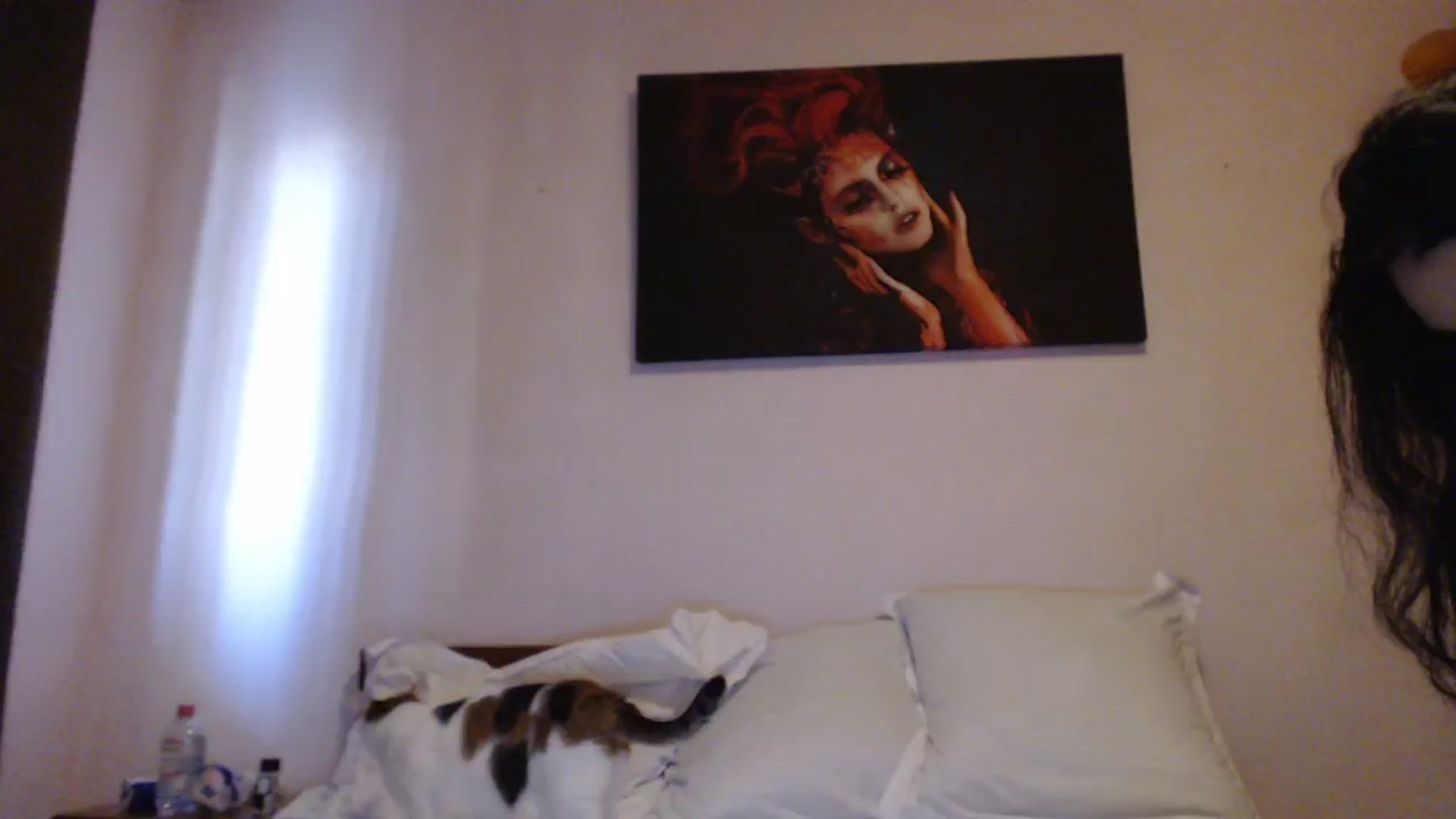 Gallery image thumbnail from Aahh_Emilia's myfreecams stream on, 09/23/2023, 15:32 image 14 of 20
