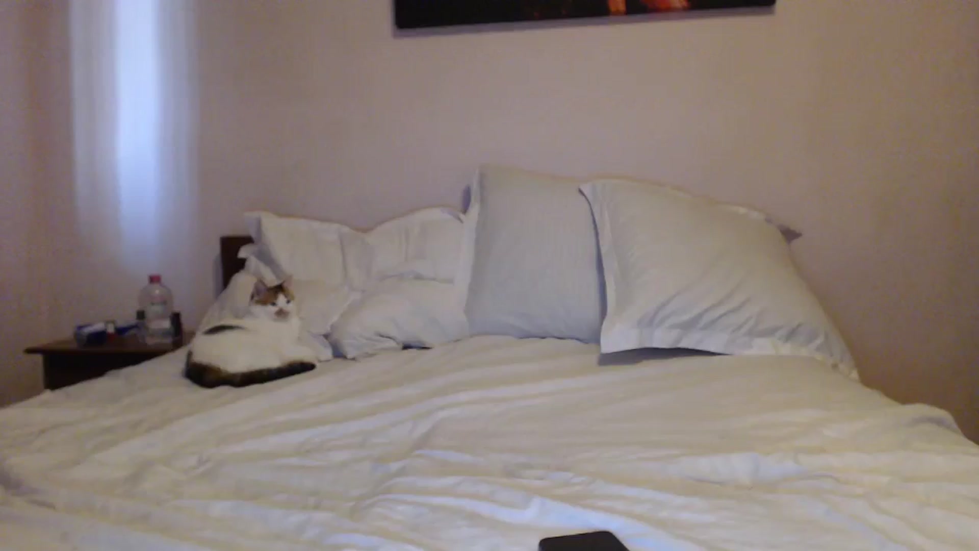 Gallery image thumbnail from Aahh_Emilia's myfreecams stream on, 09/29/2023, 15:28 image 18 of 20