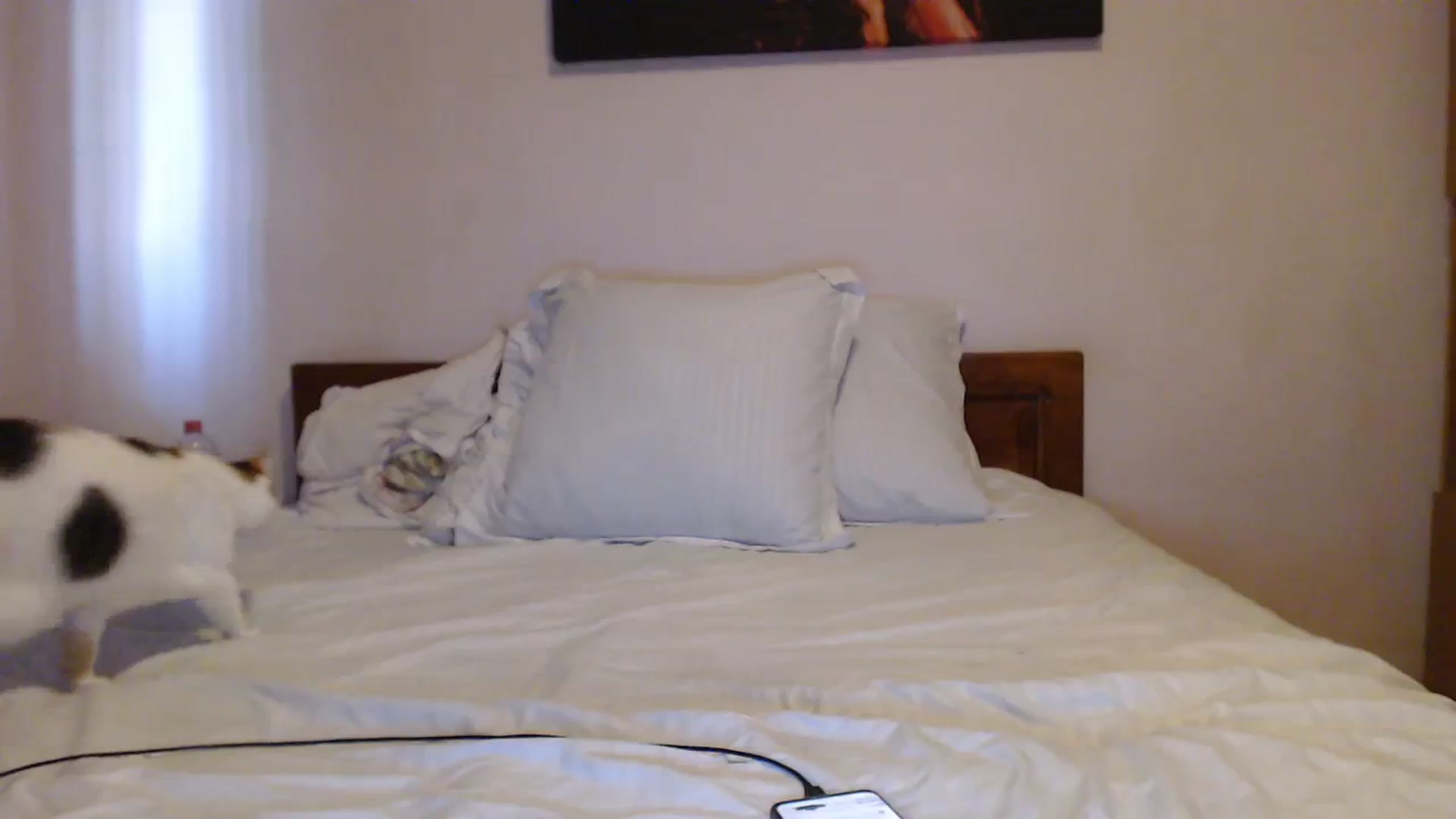 Gallery image thumbnail from Aahh_Emilia's myfreecams stream on, 09/30/2023, 15:11 image 17 of 20