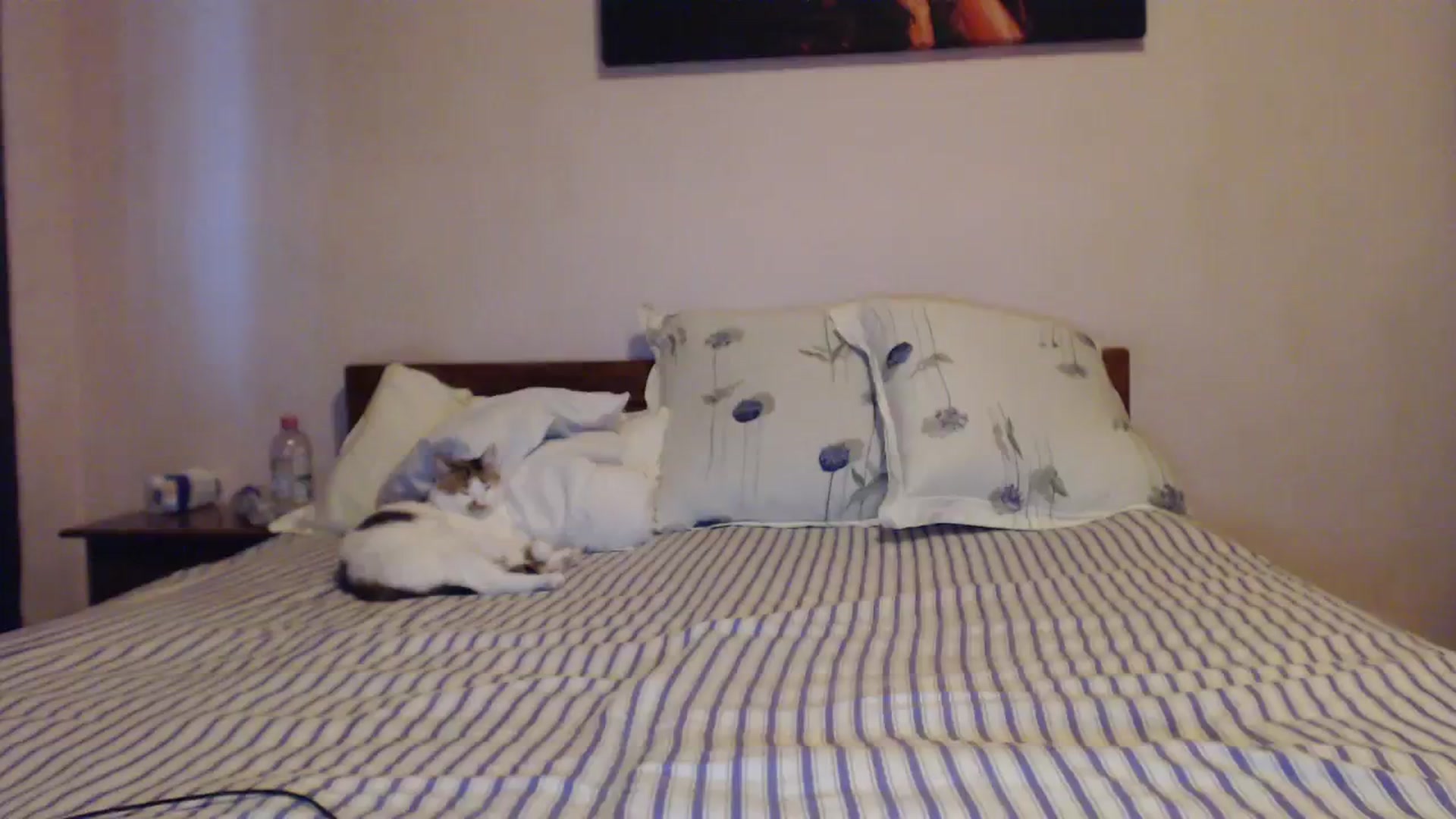 Gallery image thumbnail from Aahh_Emilia's myfreecams stream on, 10/07/2023, 15:37 image 20 of 20