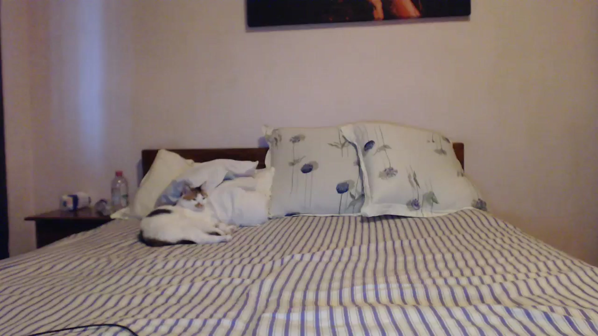Gallery image thumbnail from Aahh_Emilia's myfreecams stream on, 10/07/2023, 15:37 image 19 of 20