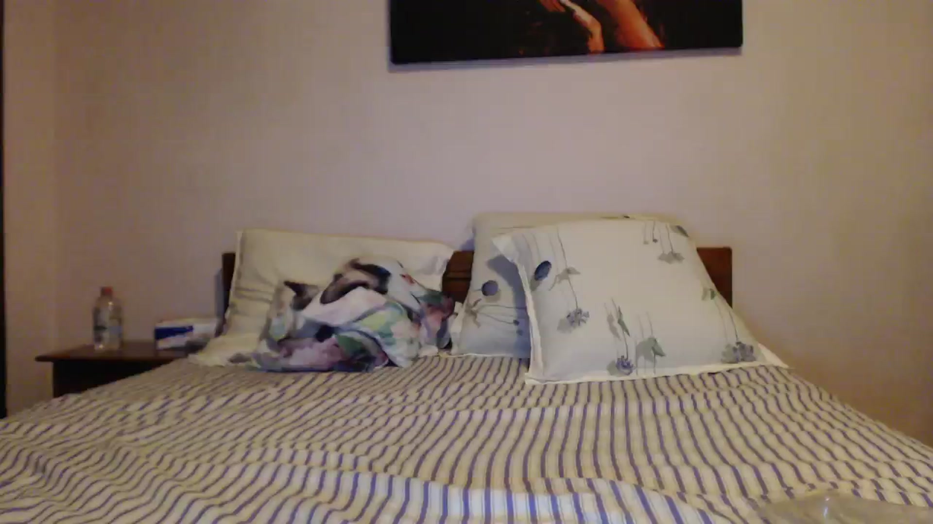 Gallery image thumbnail from Aahh_Emilia's myfreecams stream on, 10/08/2023, 17:40 image 8 of 20