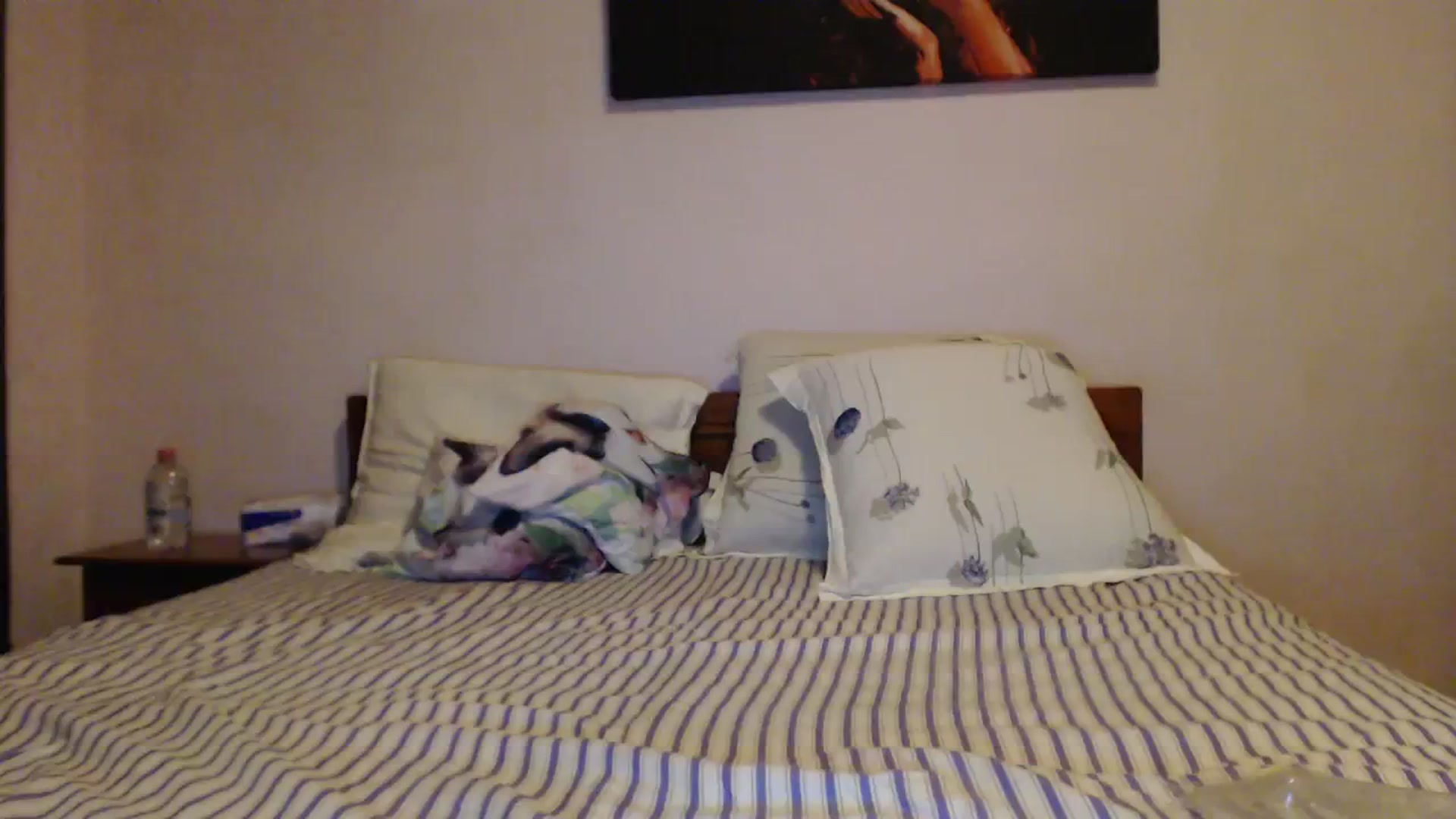 Gallery image thumbnail from Aahh_Emilia's myfreecams stream on, 10/08/2023, 17:40 image 6 of 20