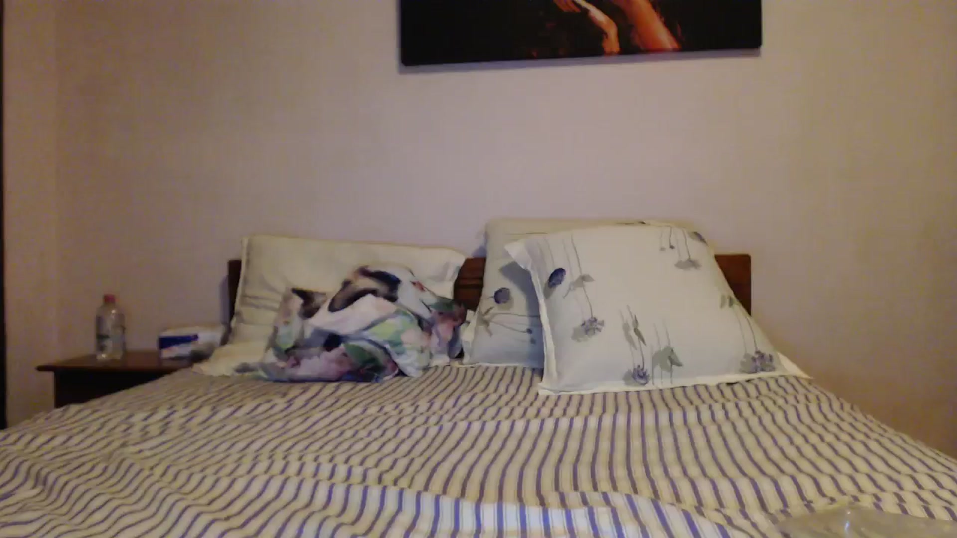 Gallery image thumbnail from Aahh_Emilia's myfreecams stream on, 10/08/2023, 17:40 image 4 of 20