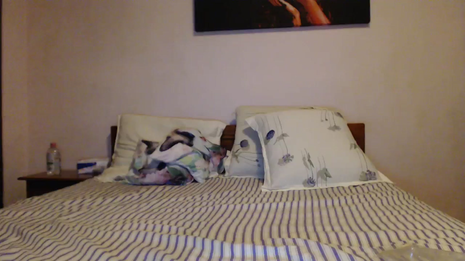 Gallery image thumbnail from Aahh_Emilia's myfreecams stream on, 10/08/2023, 17:40 image 10 of 20