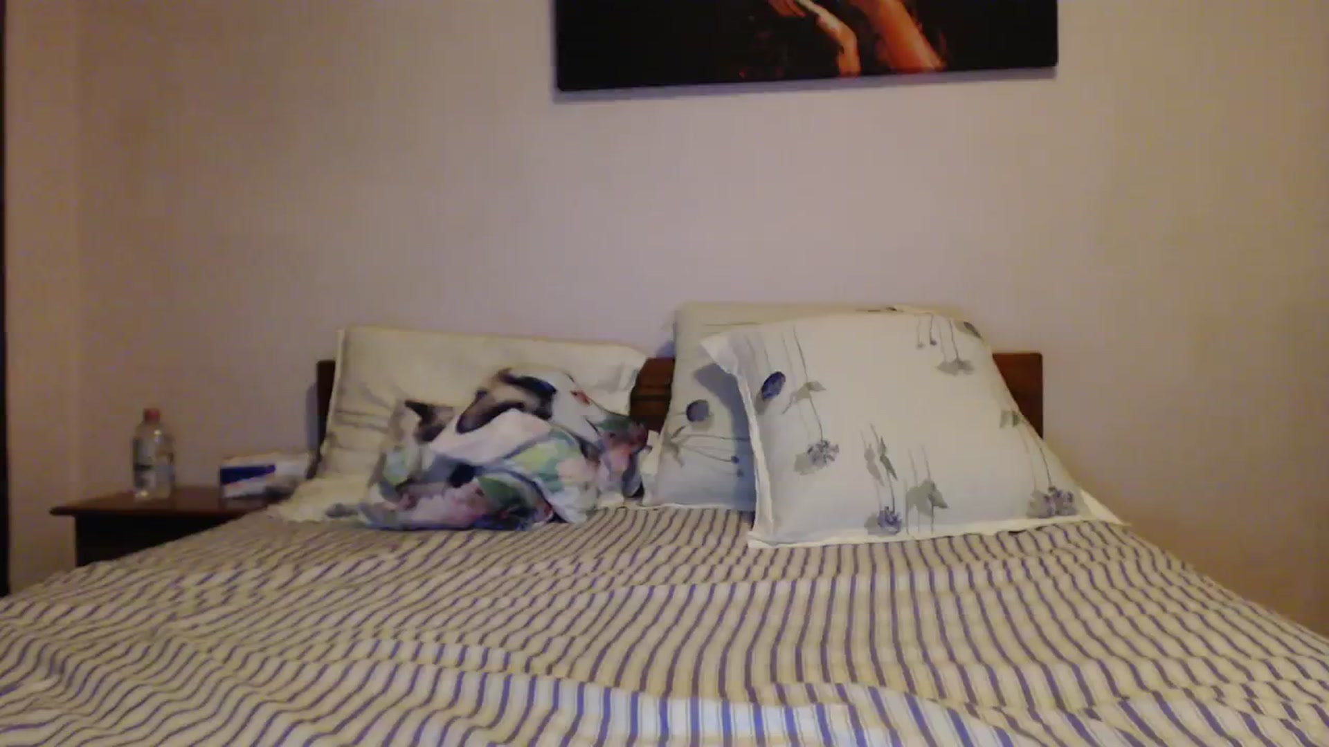 Gallery image thumbnail from Aahh_Emilia's myfreecams stream on, 10/08/2023, 17:40 image 3 of 20