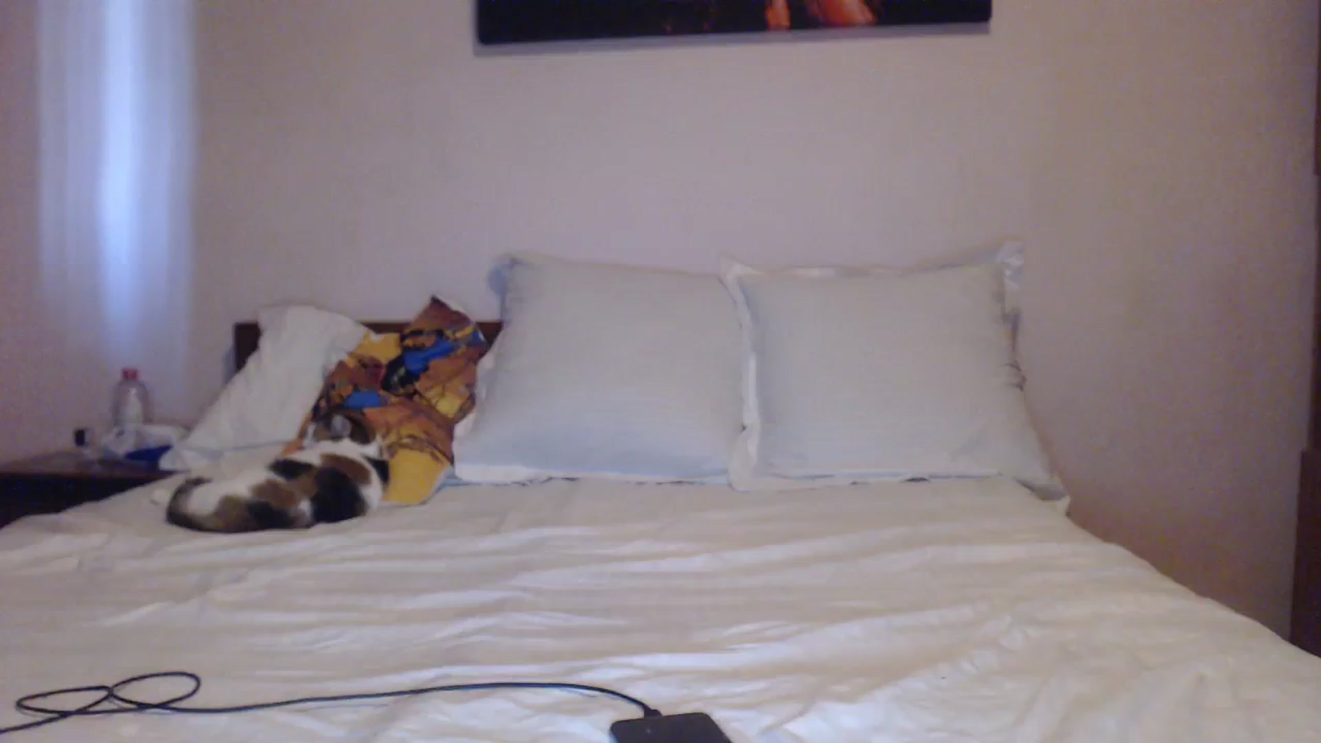 Gallery image thumbnail from Aahh_Emilia's myfreecams stream on, 10/14/2023, 15:29 image 1 of 20