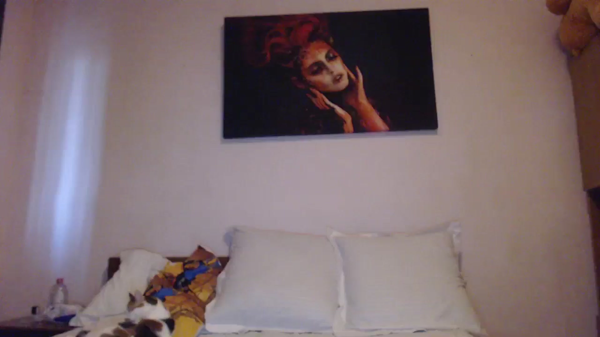 Gallery image thumbnail from Aahh_Emilia's myfreecams stream on, 10/14/2023, 15:29 image 5 of 20