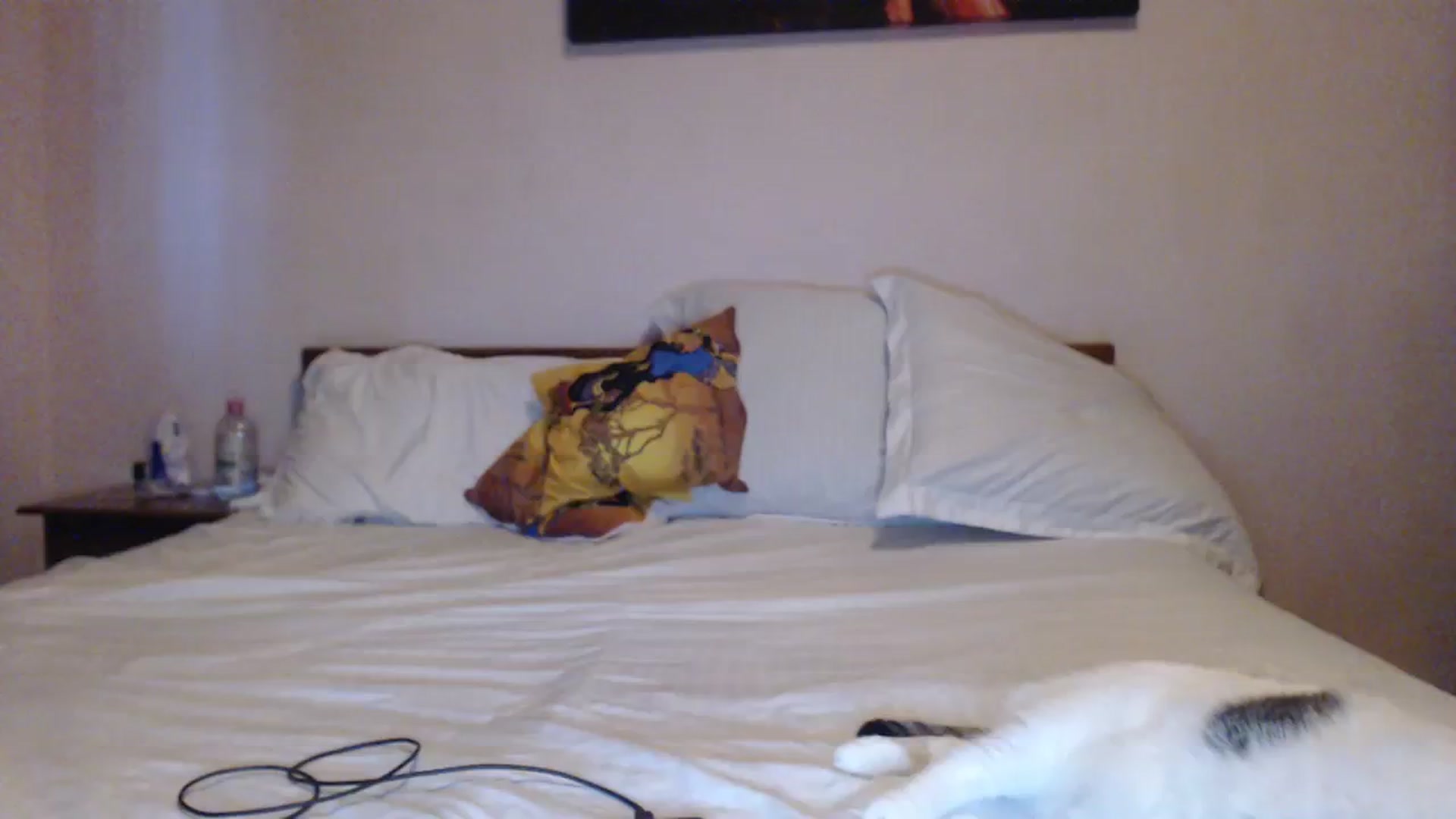Gallery image thumbnail from Aahh_Emilia's myfreecams stream on, 10/15/2023, 14:54 image 1 of 20