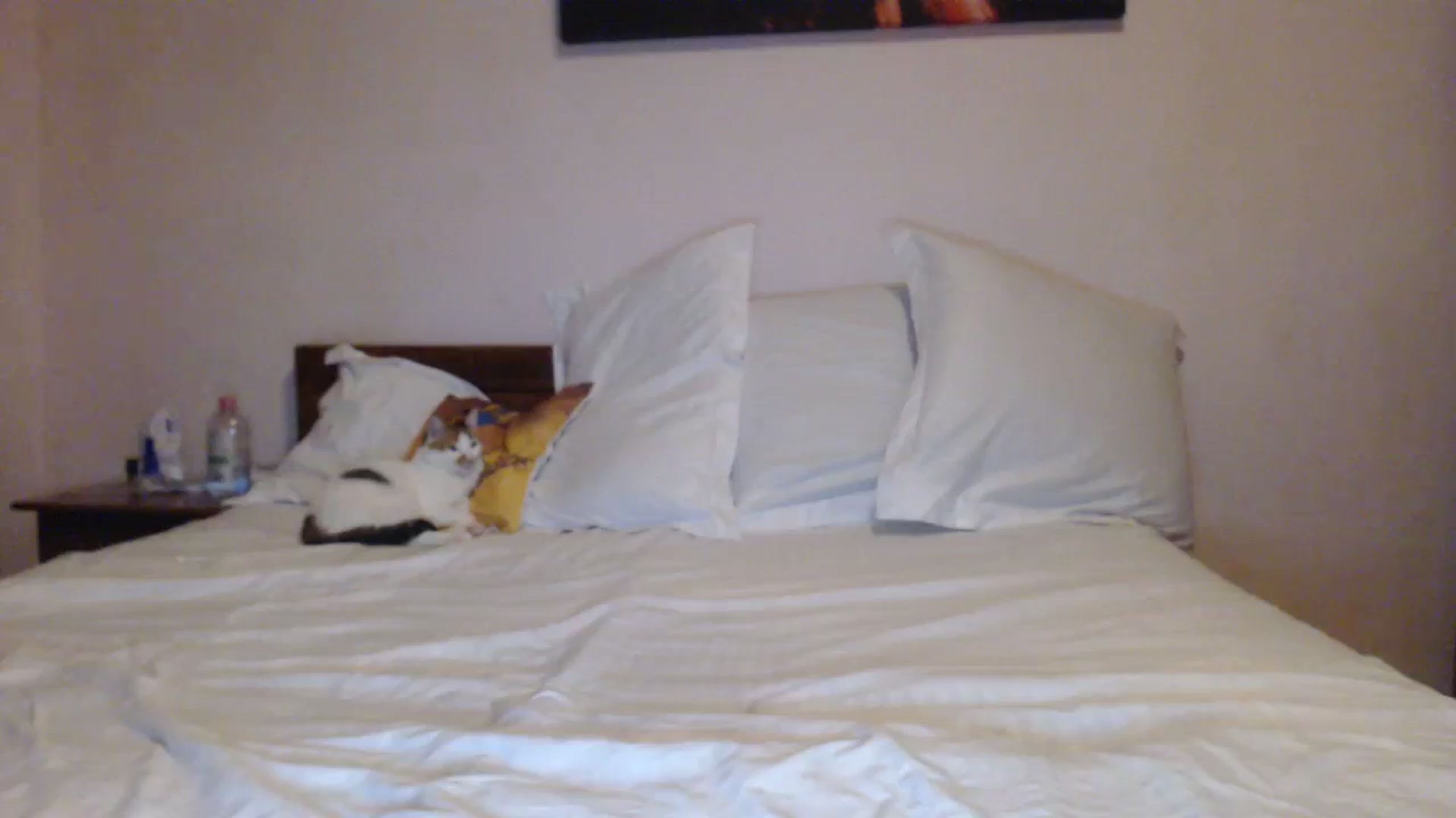 Gallery image thumbnail from Aahh_Emilia's myfreecams stream on, 10/15/2023, 17:07 image 7 of 20
