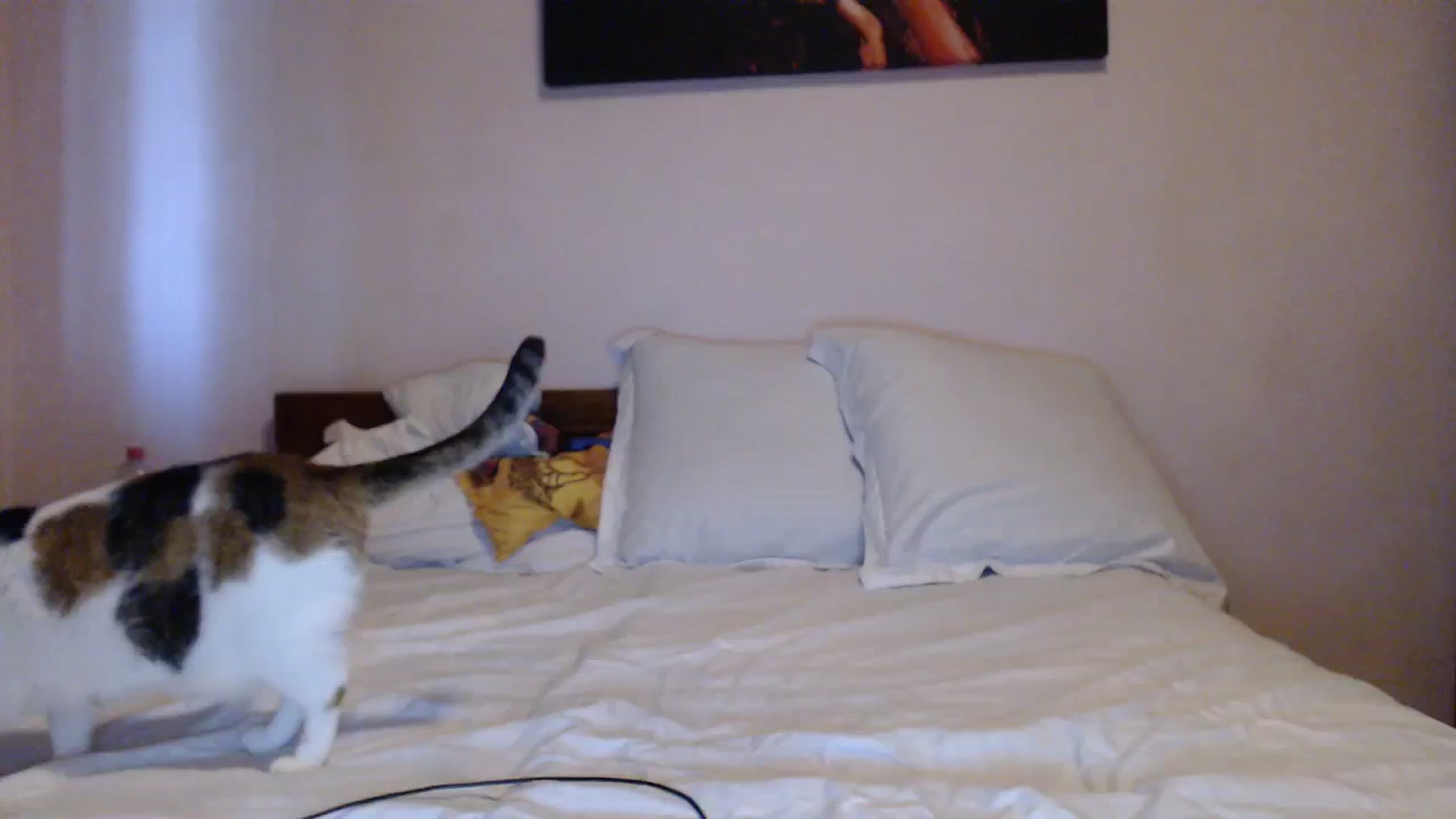 Gallery image thumbnail from Aahh_Emilia's myfreecams stream on, 10/17/2023, 15:49 image 10 of 20