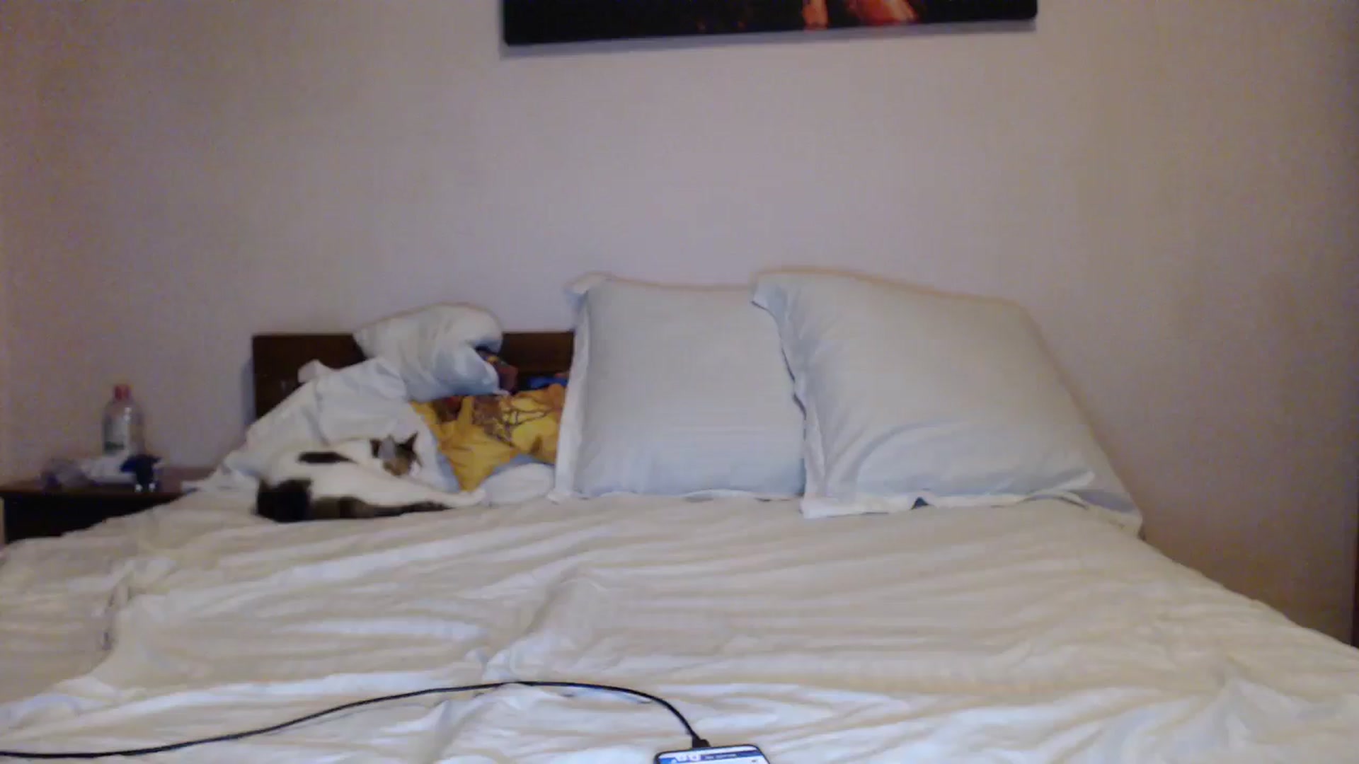 Gallery image thumbnail from Aahh_Emilia's myfreecams stream on, 10/17/2023, 15:49 image 18 of 20