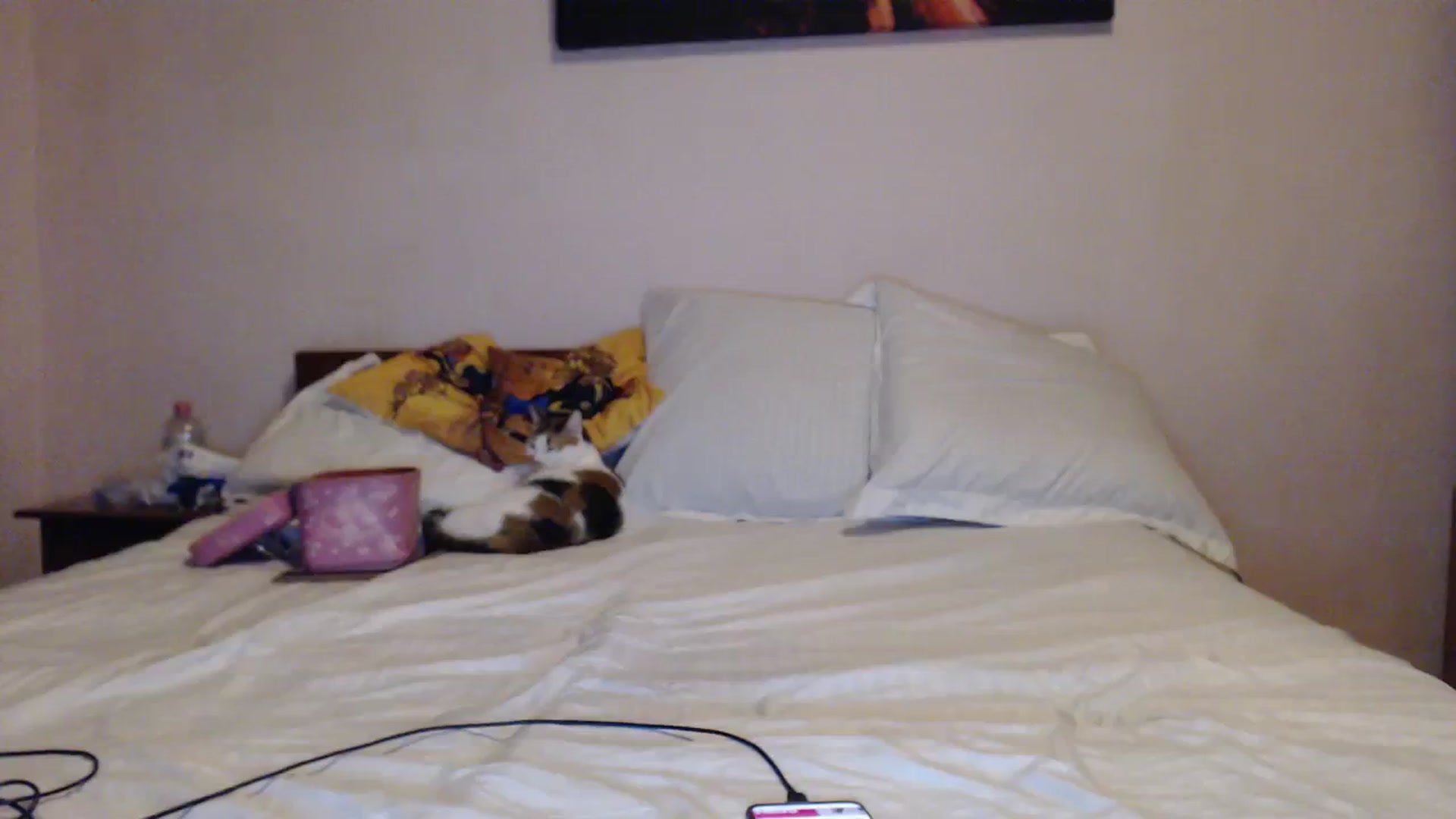 Gallery image thumbnail from Aahh_Emilia's myfreecams stream on, 10/18/2023, 15:51 image 9 of 20