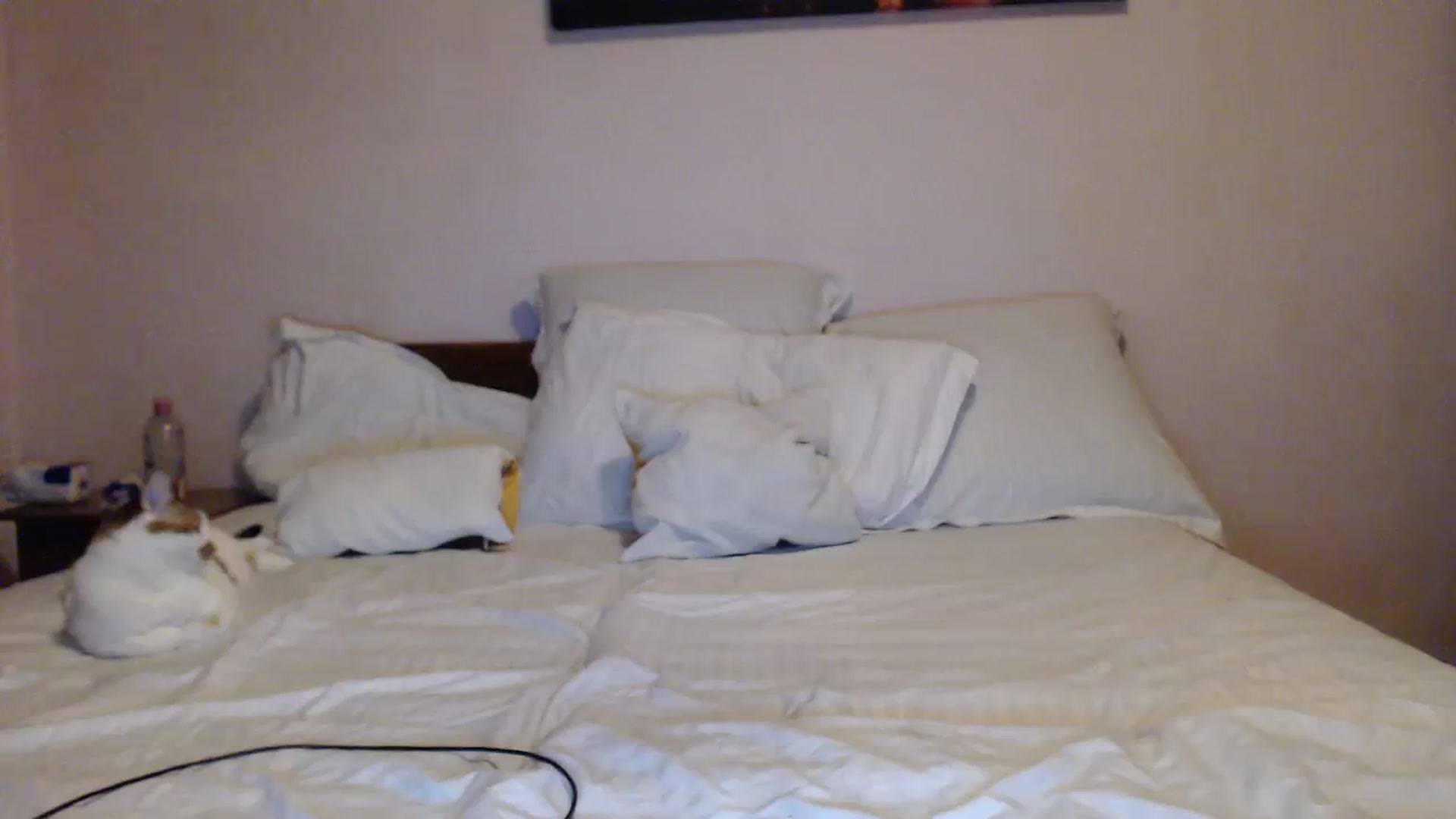Gallery image thumbnail from Aahh_Emilia's myfreecams stream on, 10/19/2023, 17:45 image 14 of 20