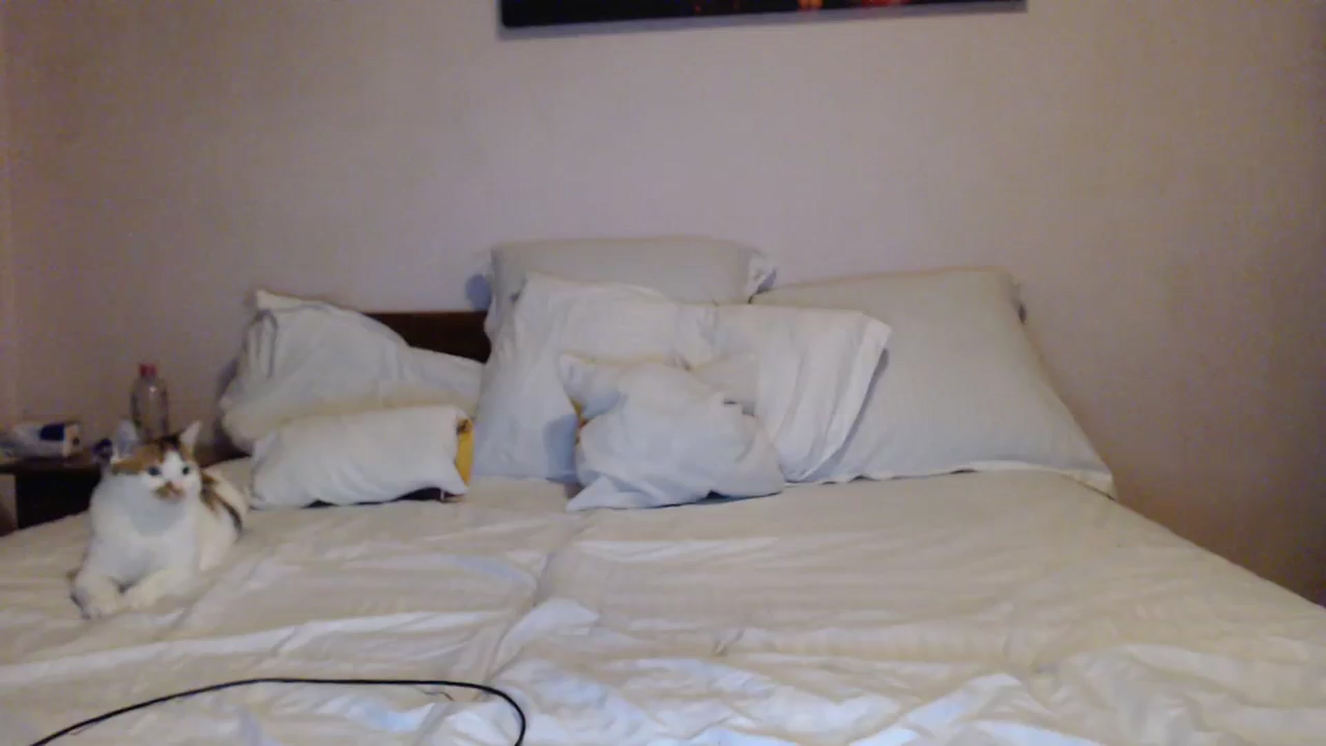 Gallery image thumbnail from Aahh_Emilia's myfreecams stream on, 10/19/2023, 17:45 image 13 of 20