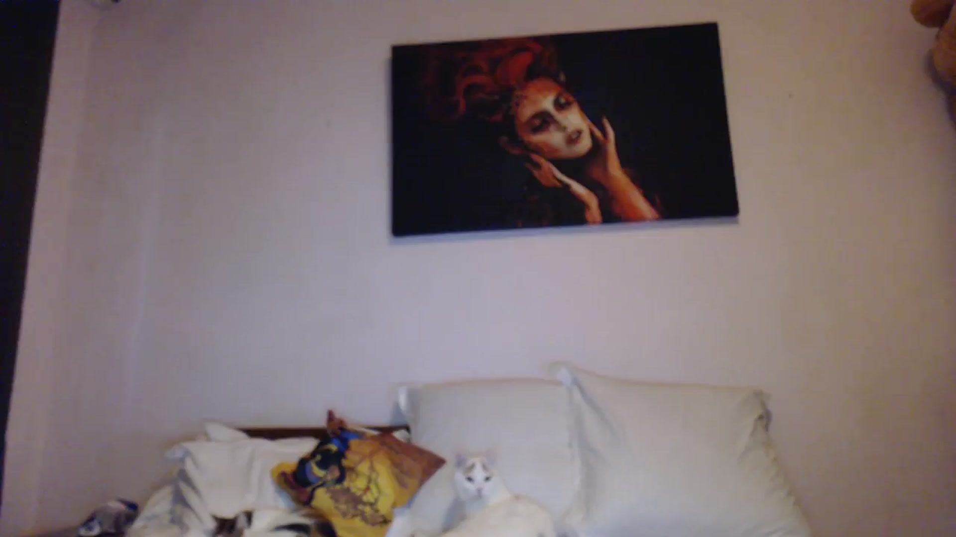 Gallery image thumbnail from Aahh_Emilia's myfreecams stream on, 10/20/2023, 15:22 image 14 of 20