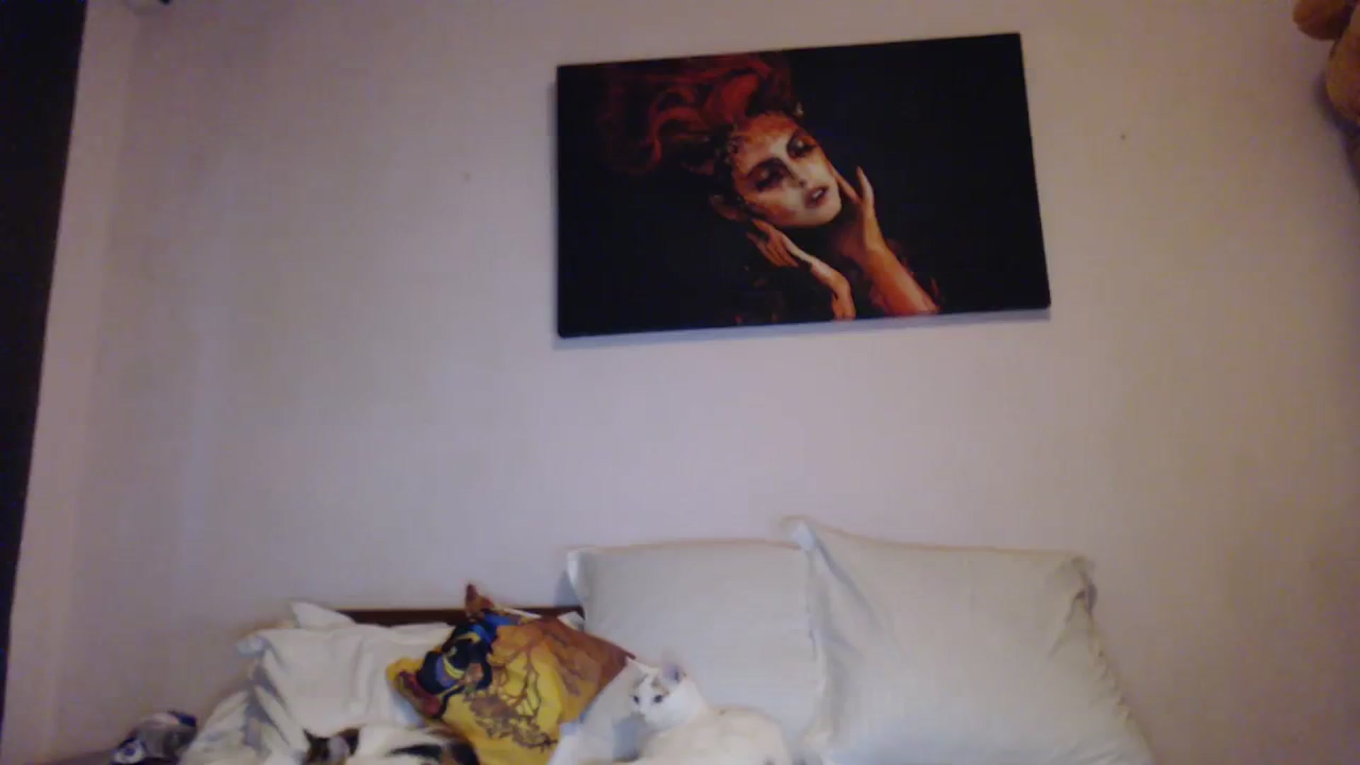 Gallery image thumbnail from Aahh_Emilia's myfreecams stream on, 10/20/2023, 15:22 image 15 of 20