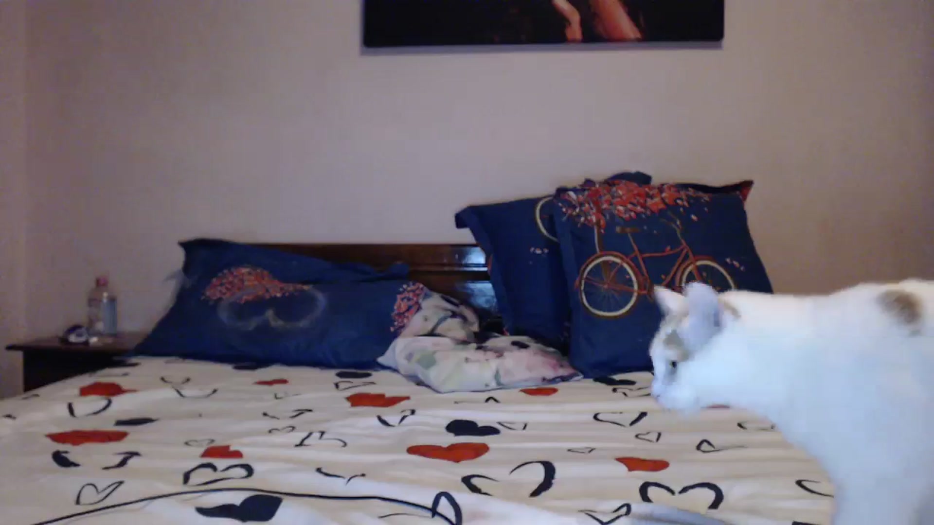 Gallery image thumbnail from Aahh_Emilia's myfreecams stream on, 10/21/2023, 17:46 image 17 of 20
