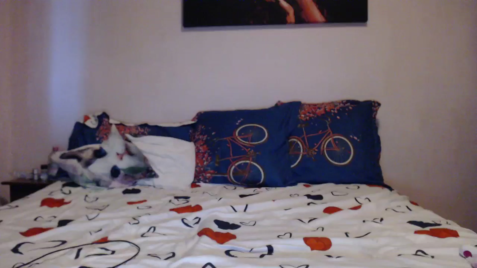 Gallery image thumbnail from Aahh_Emilia's myfreecams stream on, 10/23/2023, 15:22 image 16 of 20