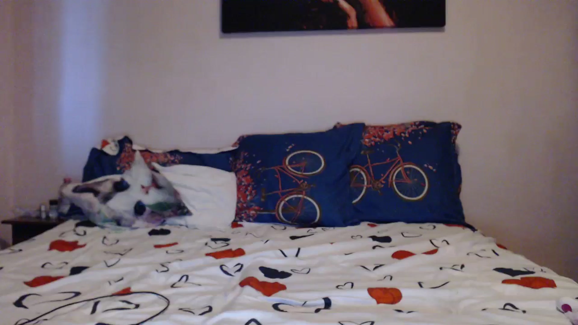 Gallery image thumbnail from Aahh_Emilia's myfreecams stream on, 10/23/2023, 15:22 image 15 of 20