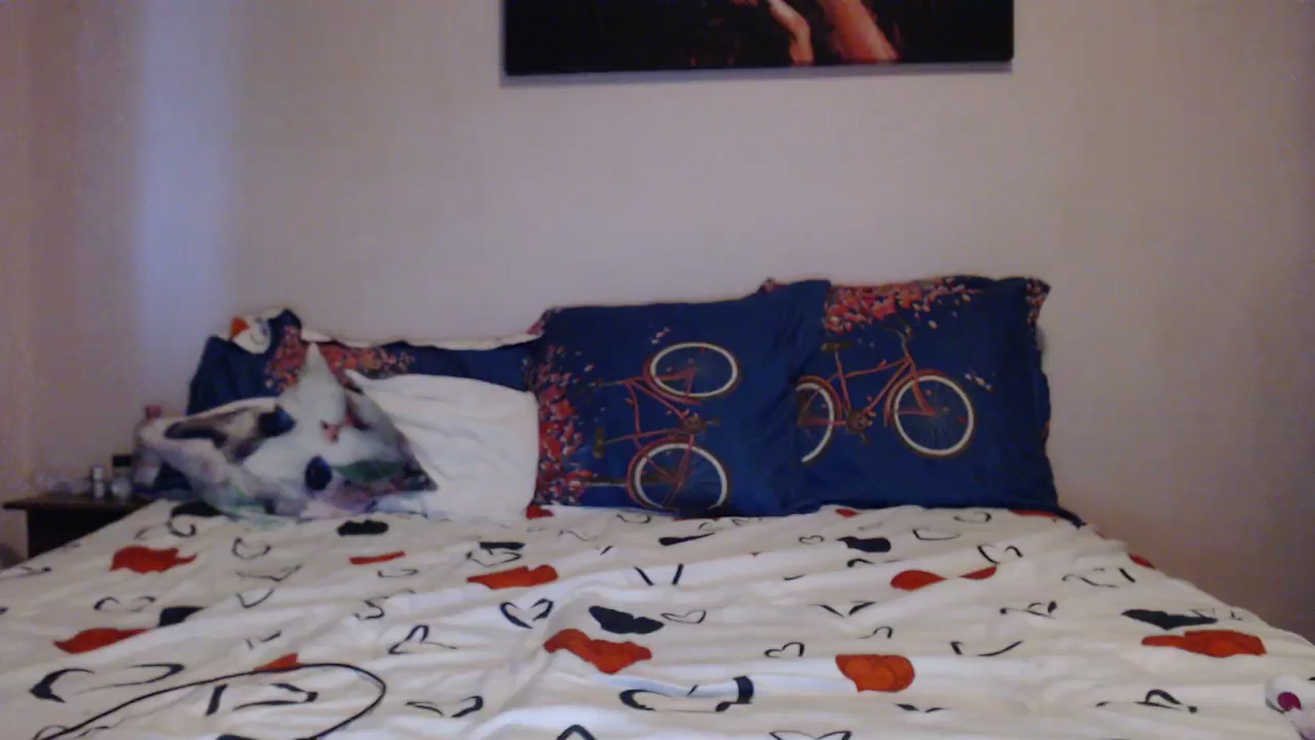 Gallery image thumbnail from Aahh_Emilia's myfreecams stream on, 10/23/2023, 15:22 image 17 of 20