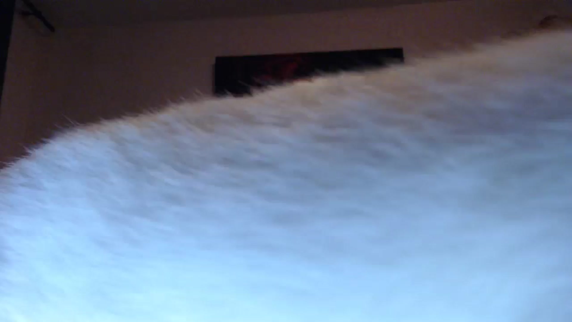 Gallery image thumbnail from Aahh_Emilia's myfreecams stream on, 10/25/2023, 17:13 image 3 of 20