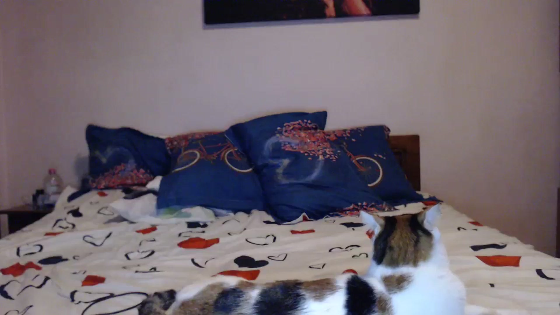 Gallery image thumbnail from Aahh_Emilia's myfreecams stream on, 10/25/2023, 17:57 image 14 of 20