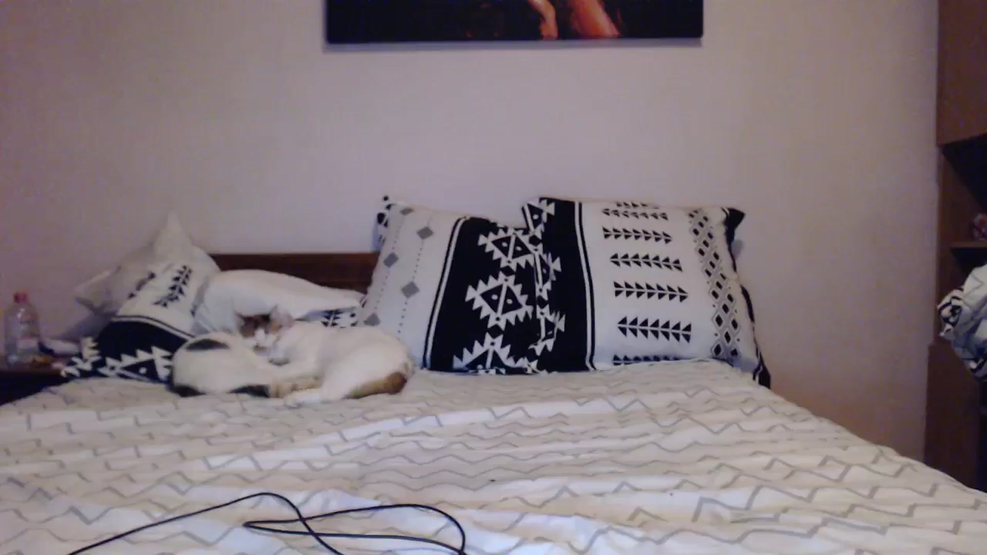 Gallery image thumbnail from Aahh_Emilia's myfreecams stream on, 10/28/2023, 15:45 image 15 of 20