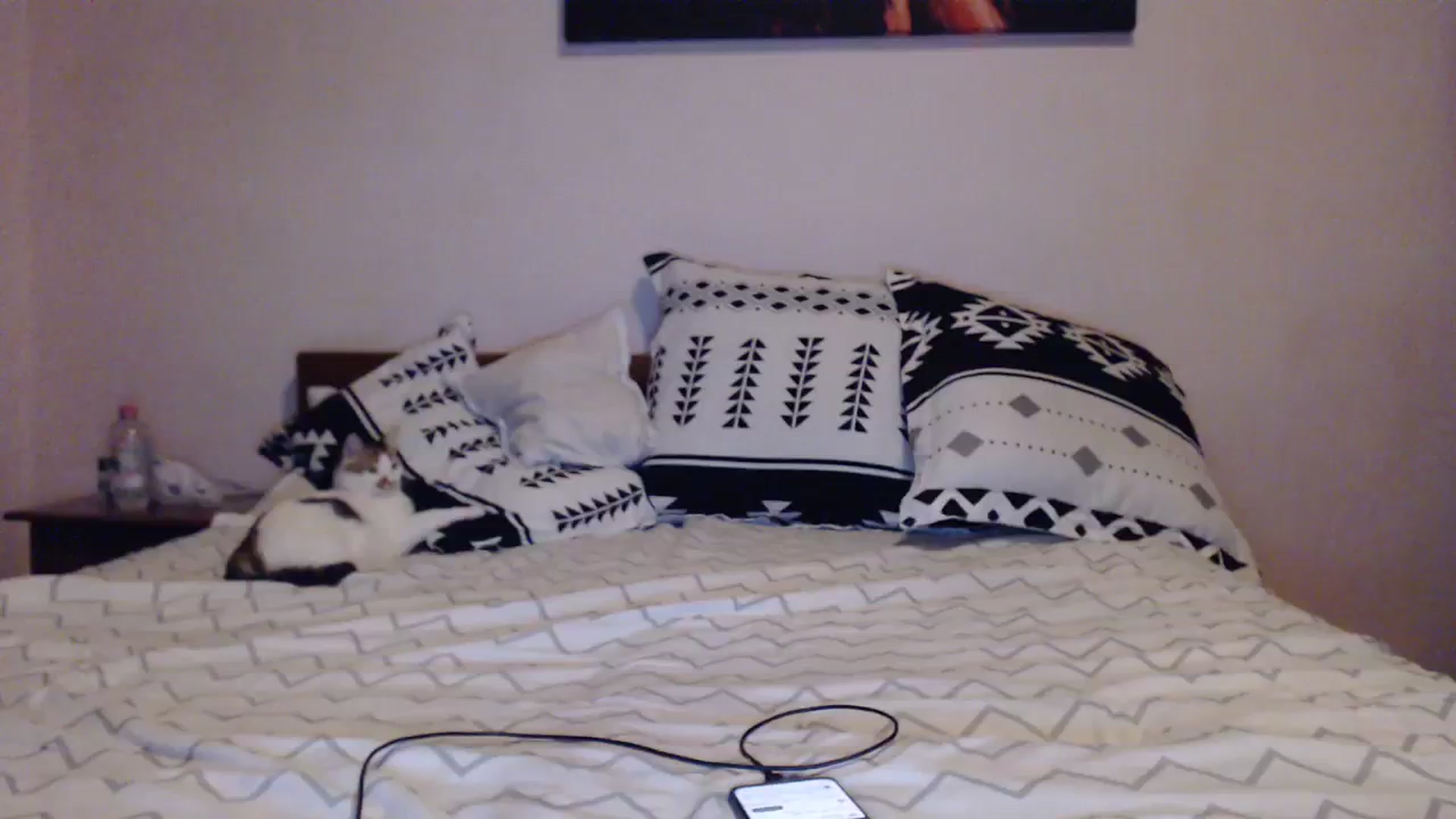 Gallery image thumbnail from Aahh_Emilia's myfreecams stream on, 10/29/2023, 15:59 image 19 of 20