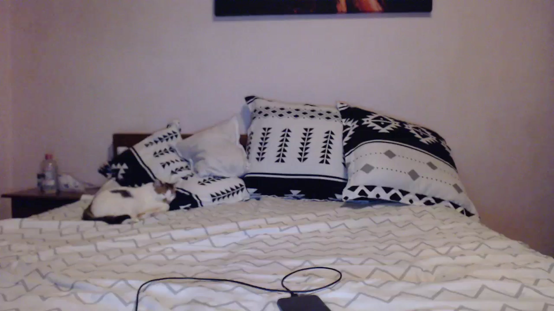 Gallery image thumbnail from Aahh_Emilia's myfreecams stream on, 10/29/2023, 15:59 image 20 of 20