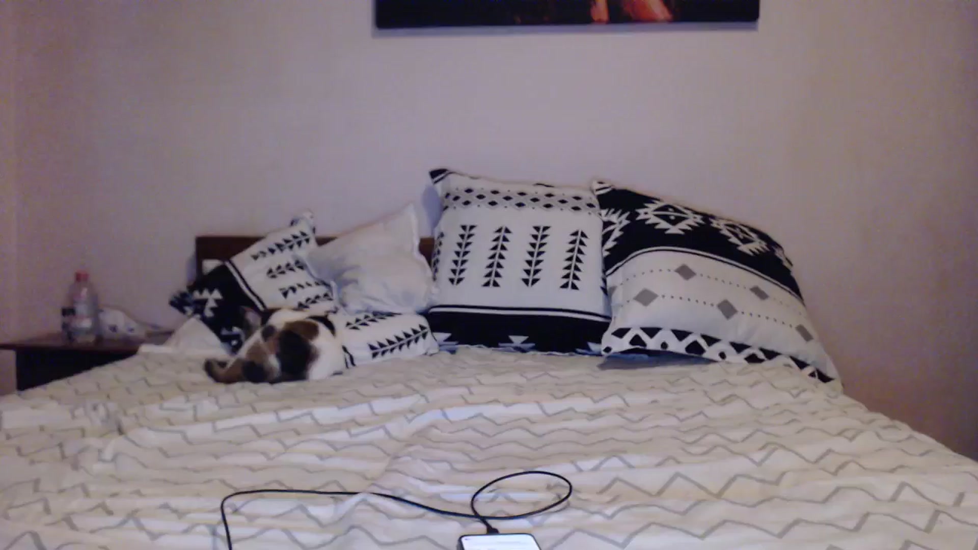Gallery image thumbnail from Aahh_Emilia's myfreecams stream on, 10/29/2023, 15:59 image 9 of 20