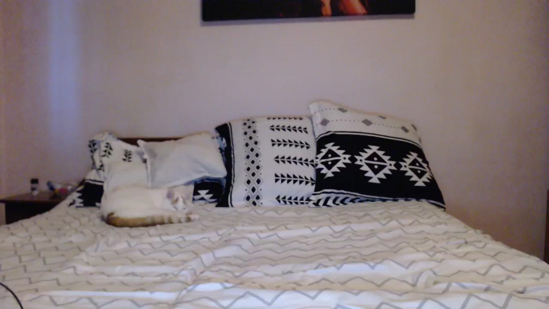 Gallery image thumbnail from Aahh_Emilia's myfreecams stream on, 10/30/2023, 15:07 image 15 of 20
